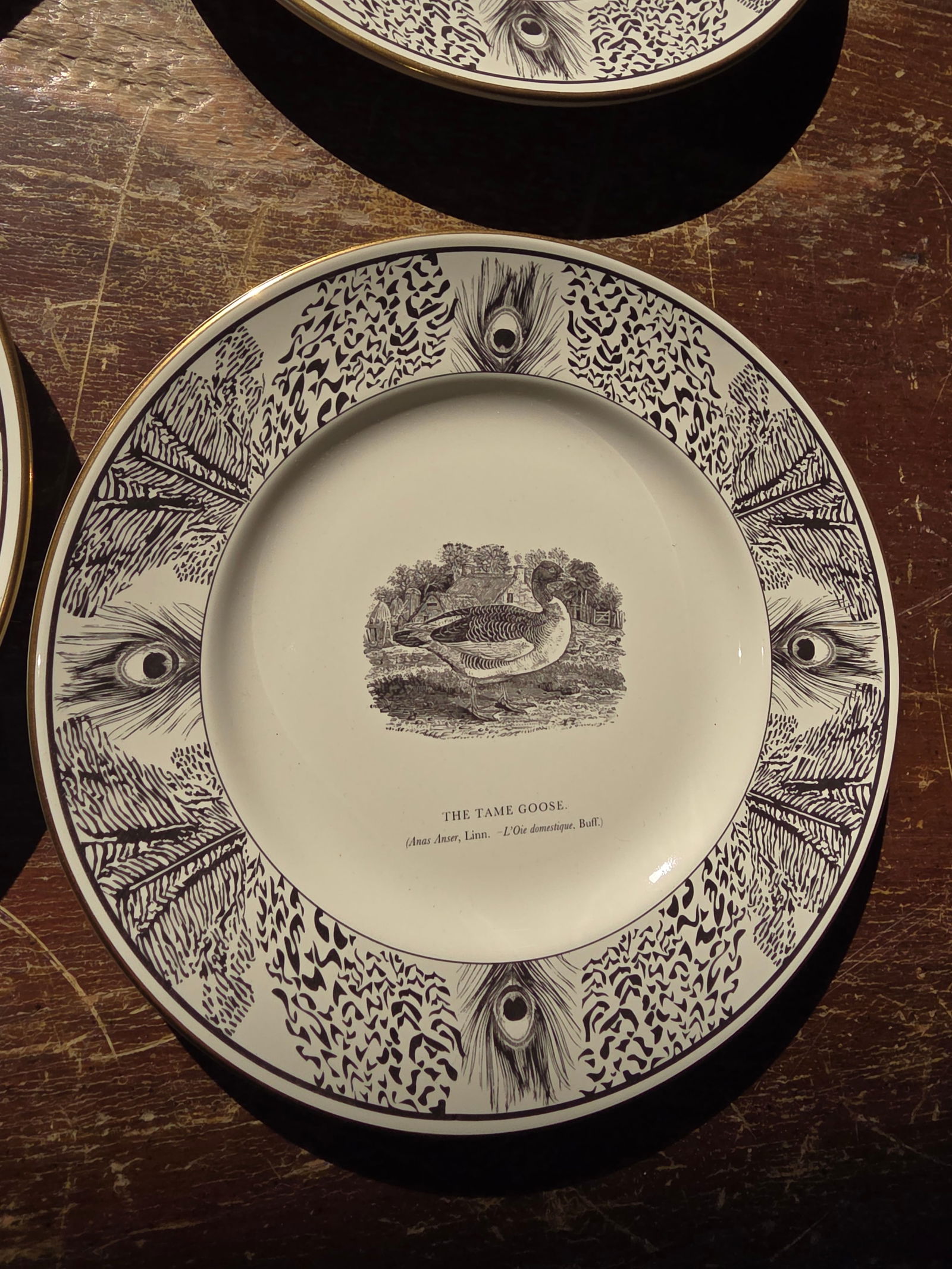 Six Bewick Bird Plates by Prinknash Abbey Pottery - 6