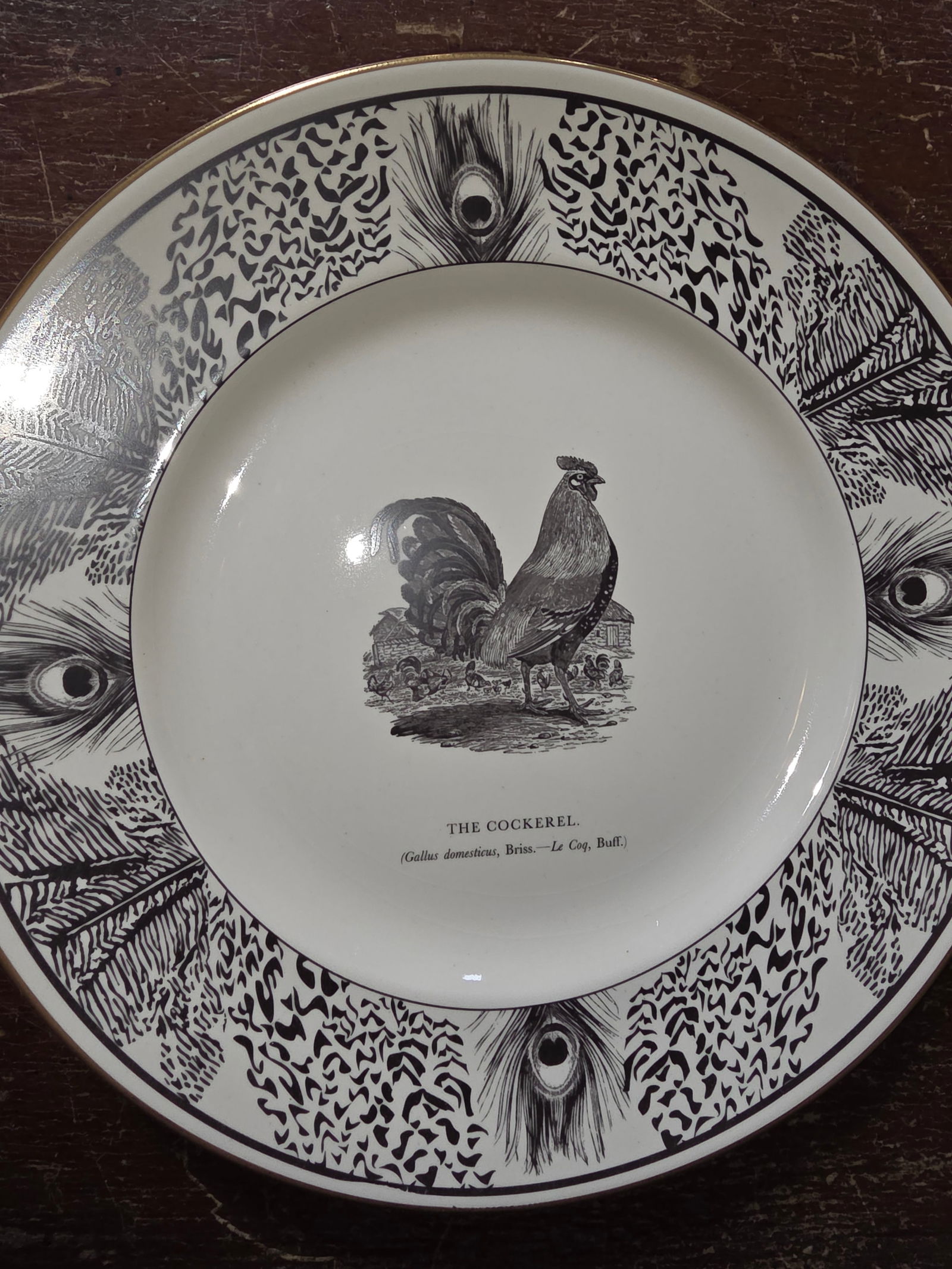 Six Bewick Bird Plates by Prinknash Abbey Pottery - 7