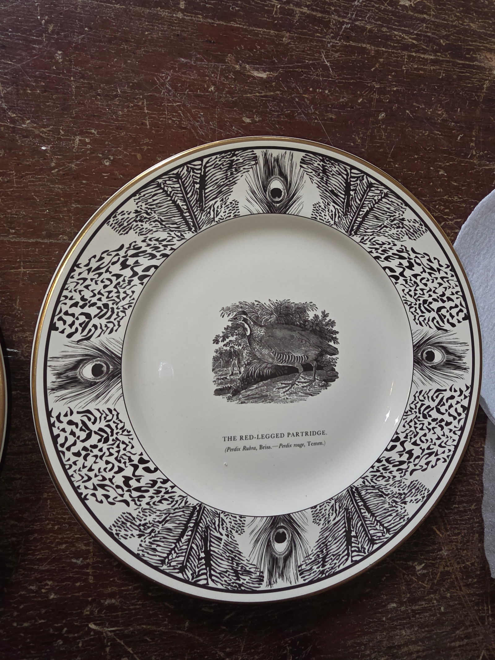 Six Bewick Bird Plates by Prinknash Abbey Pottery - 8