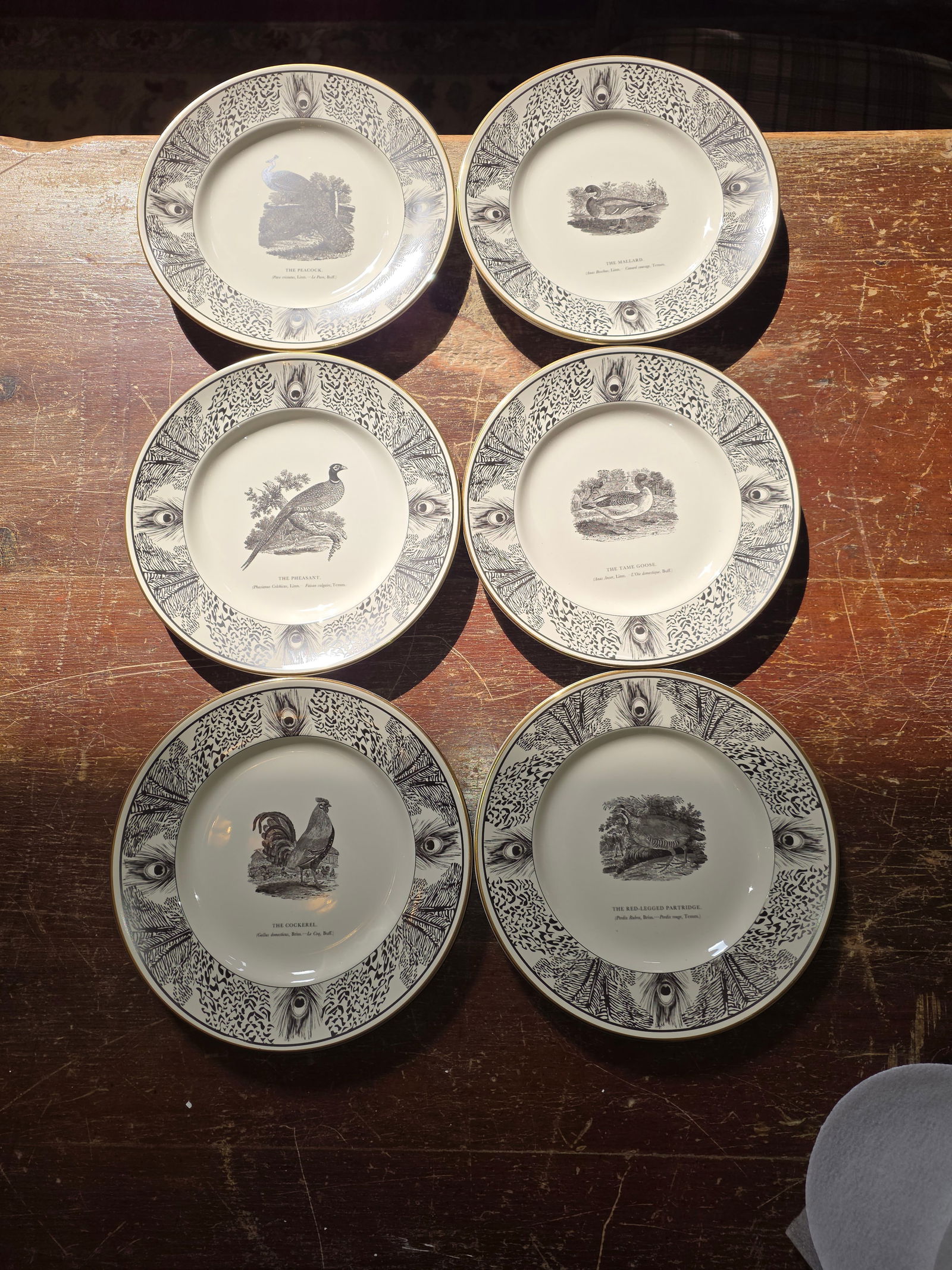 Six Bewick Bird Plates by Prinknash Abbey Pottery - 9