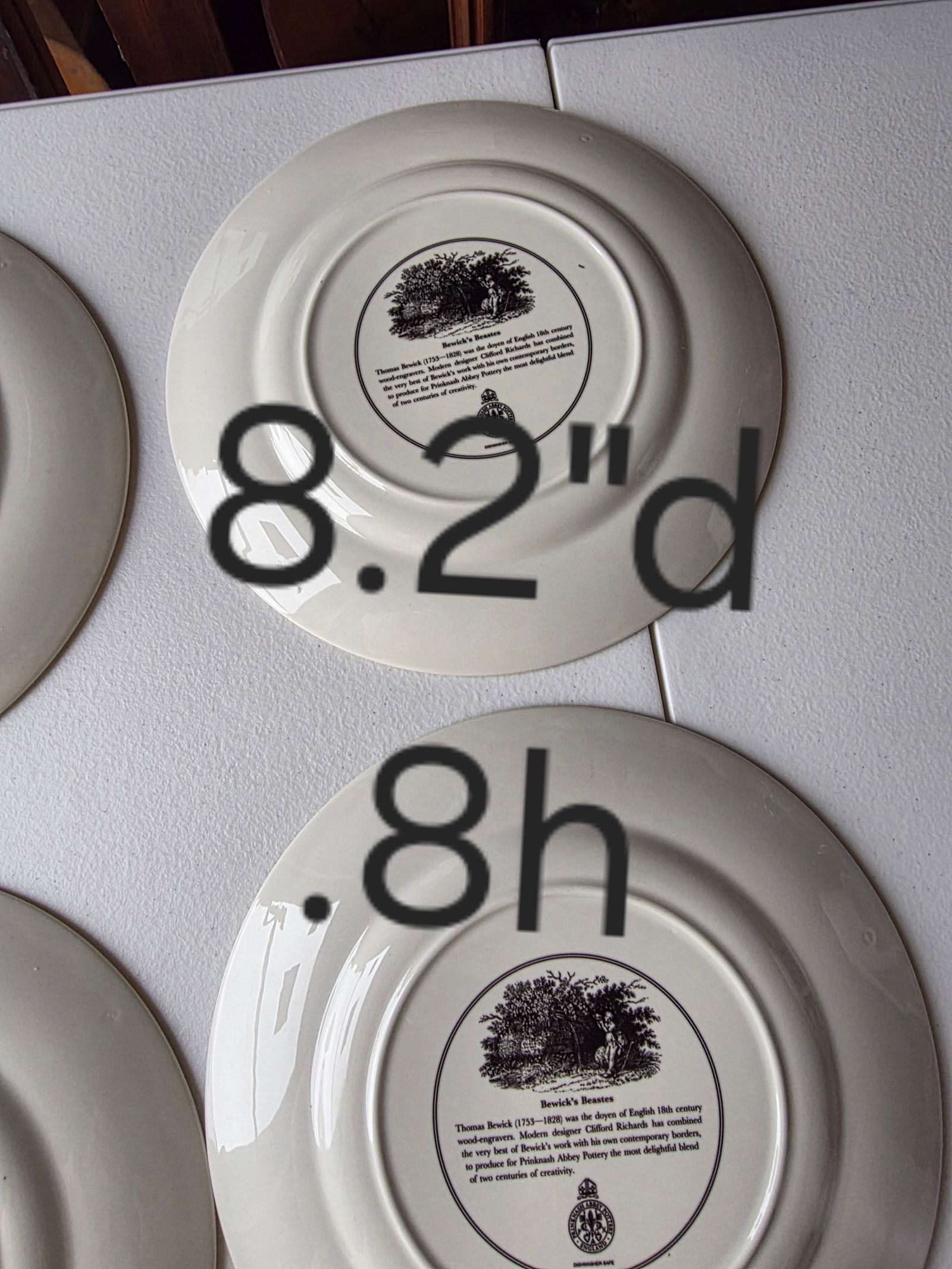 Bewicks Beastes Prinknash Abbey Pottery Plates Six - 8