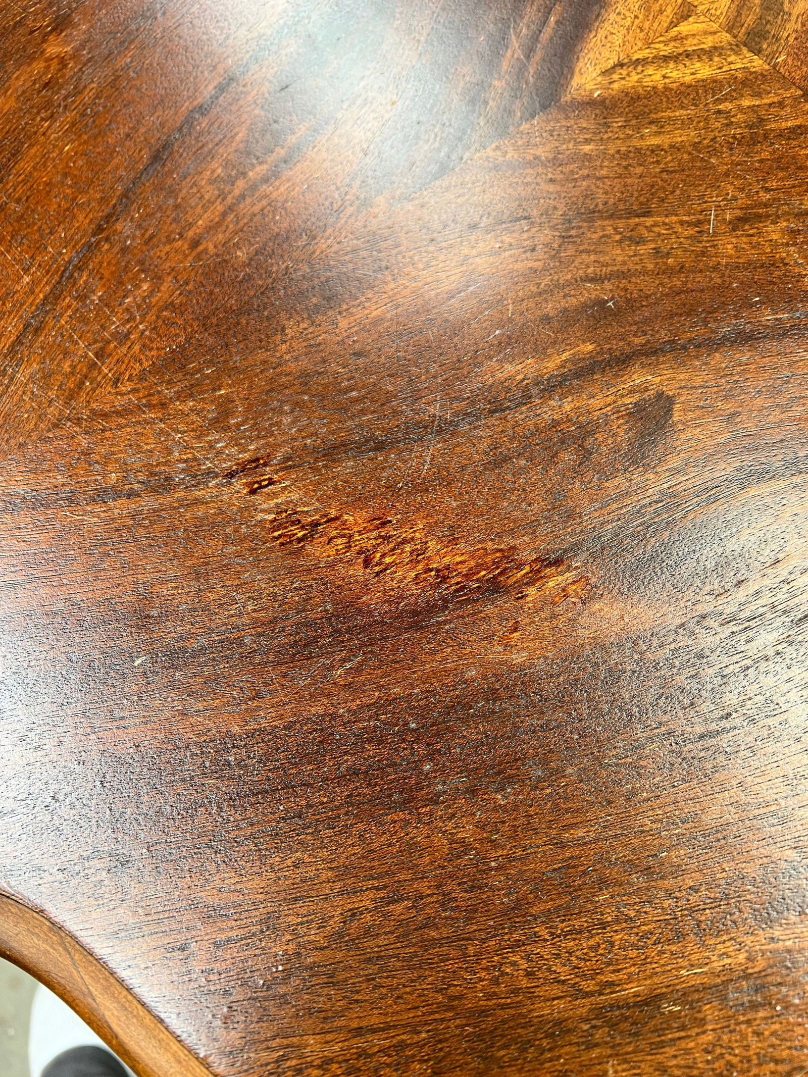 Antique Burl Walnut Wood Scalloped Edge Pedestal Table - 12