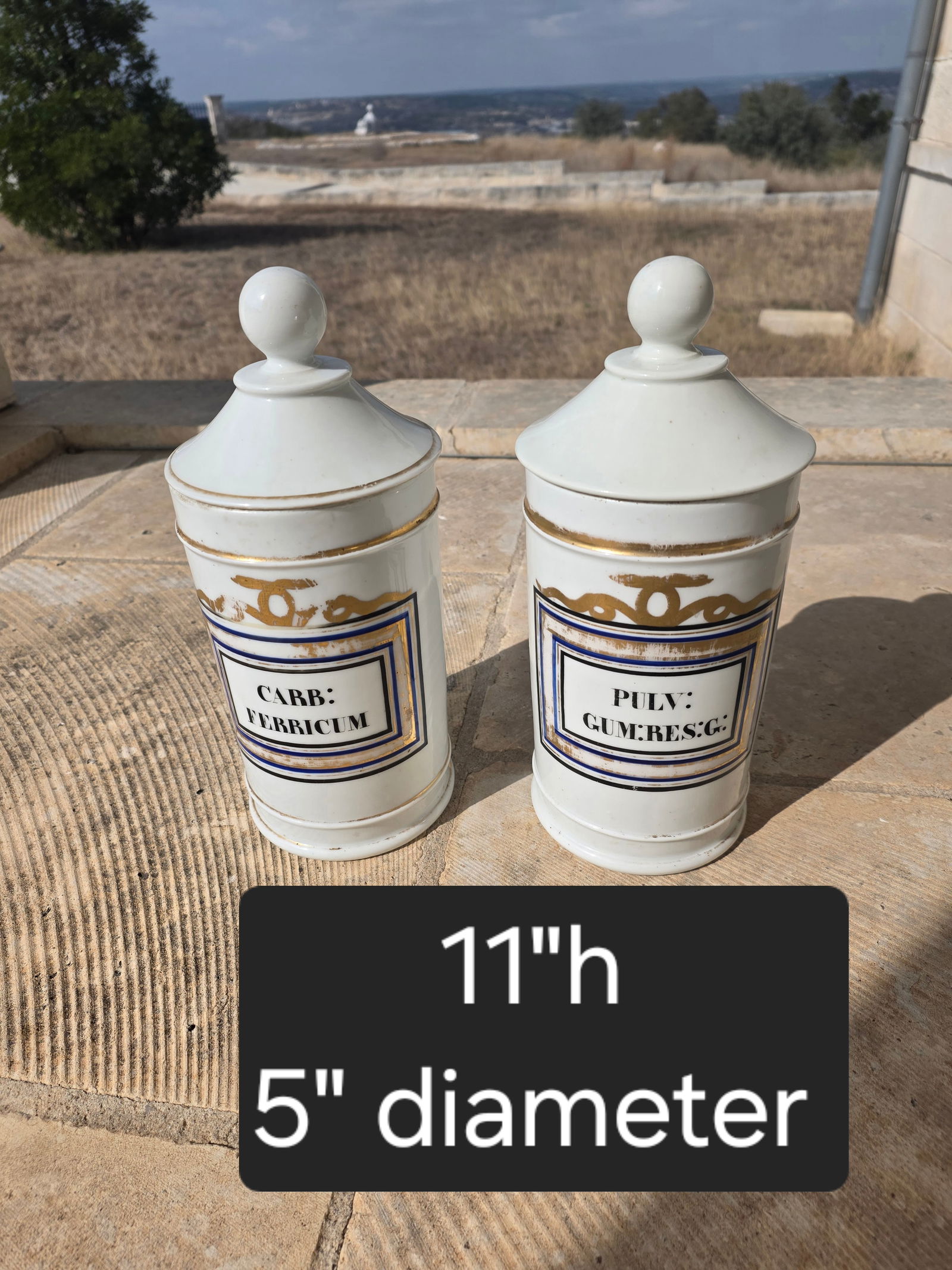 Pair of Antique Apothecary Jars - 12
