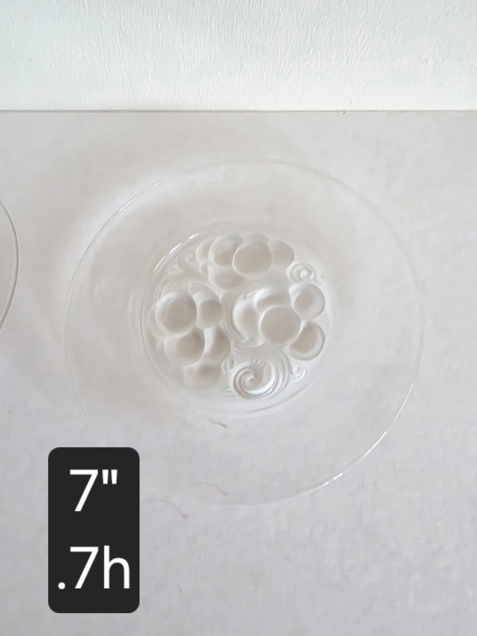 Pair of Rene Lalique Marienthal Plates - 2