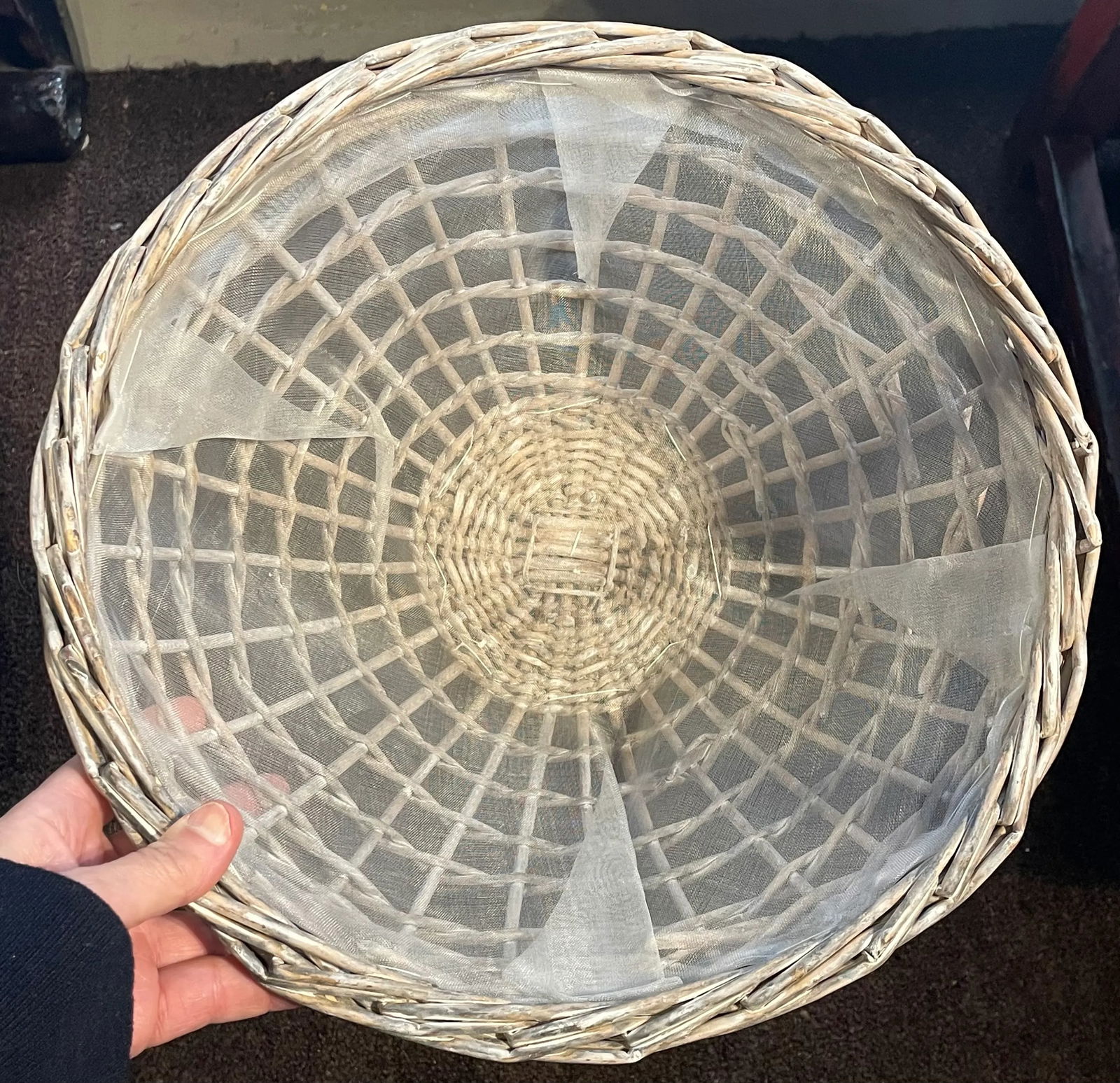 Pair of Fly Proof Woven Trays With Lids - 7