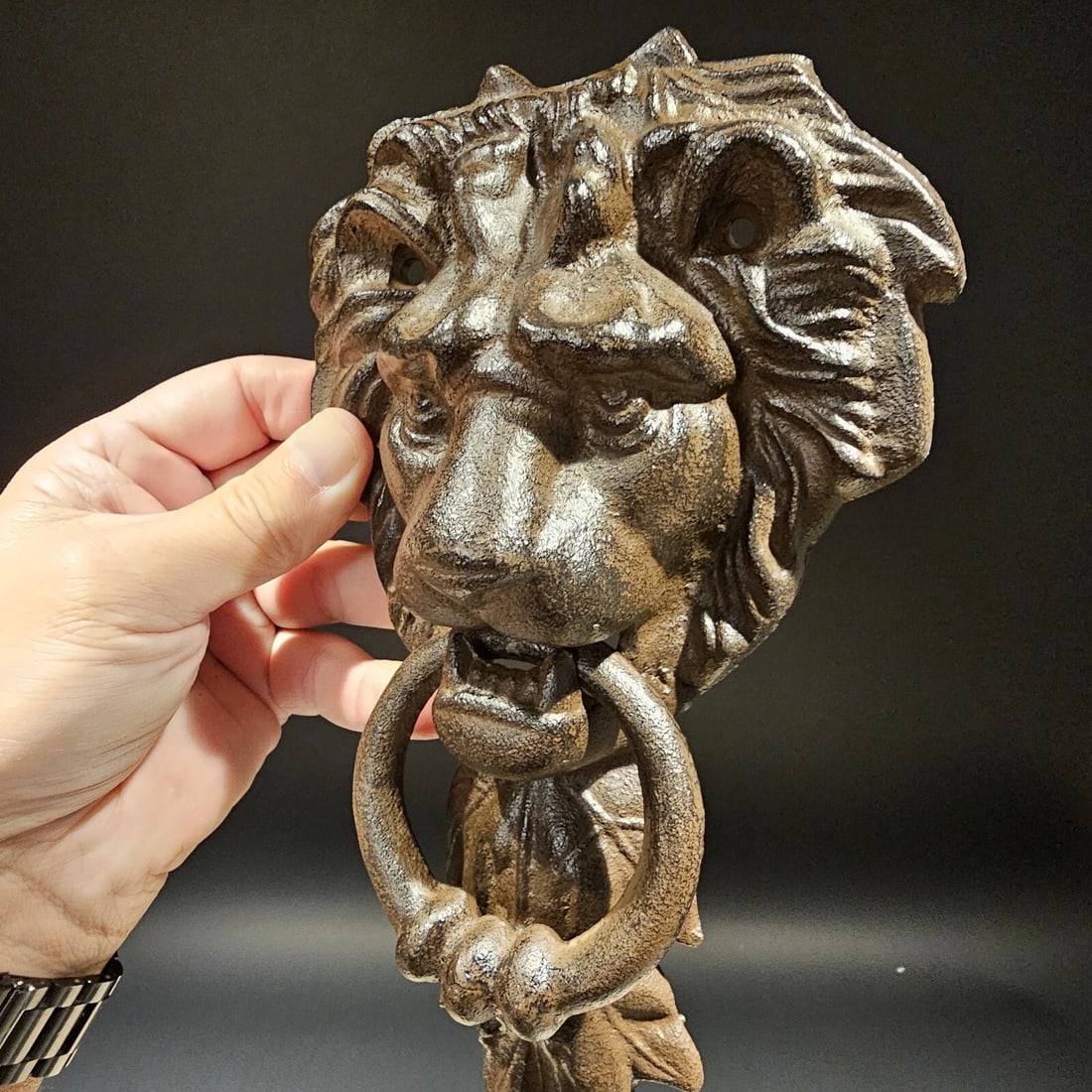 Cast Iron Lion Door Knocker w Hook - 13