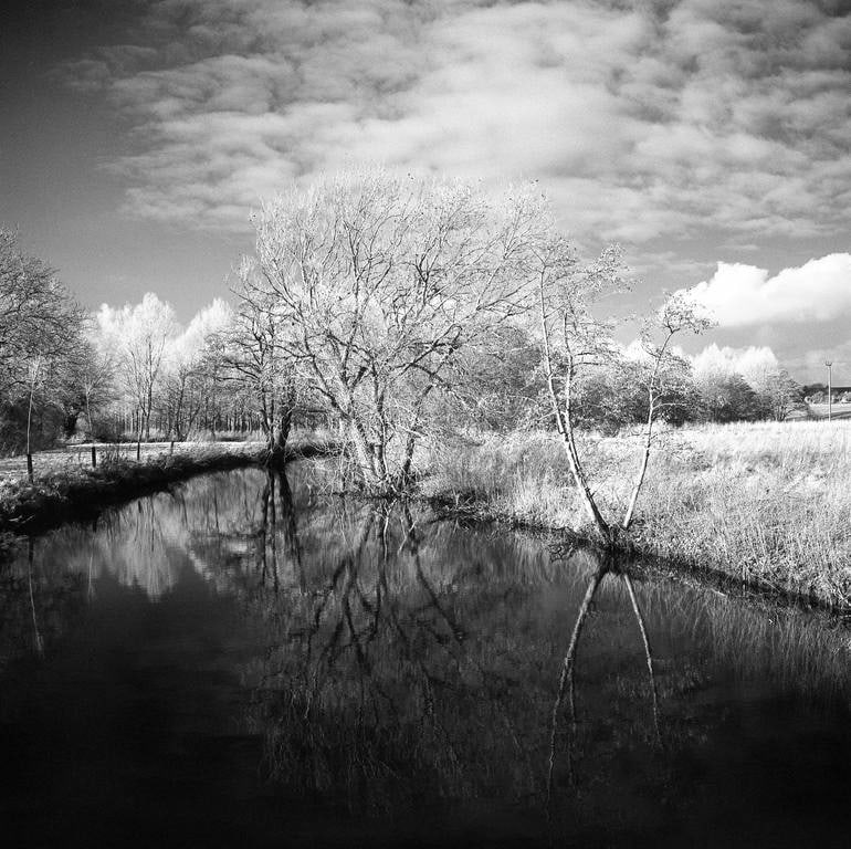 Reflection, Alder Carr, Suffolk (Infrared Film) - Silver Gelatin: Title: Reflection, Alder Carr, Suffolk (Infrared Film) - Silver Gelatin Description: Title: Reflection, Alder Carr, Suffolk (Infrared Film) - Silver Gelatin Photograph - Limited Edition of 10Artist: