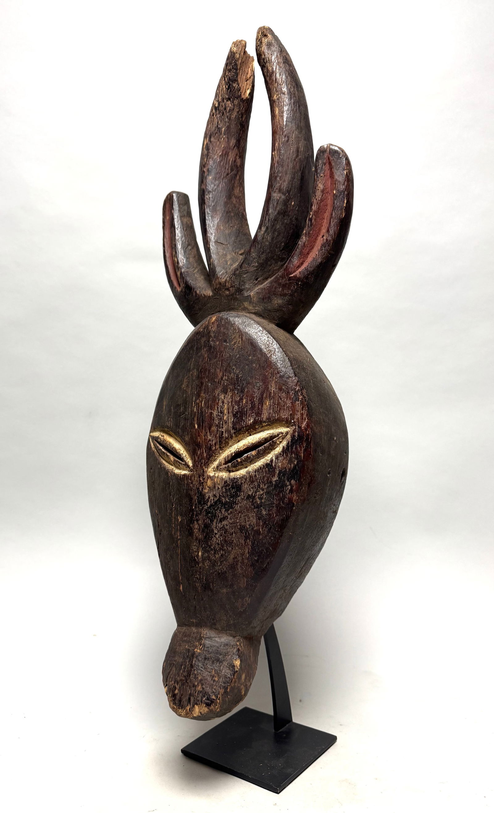 Antelope mask - Wood - Kwele - Gabon - 60 cm - 2