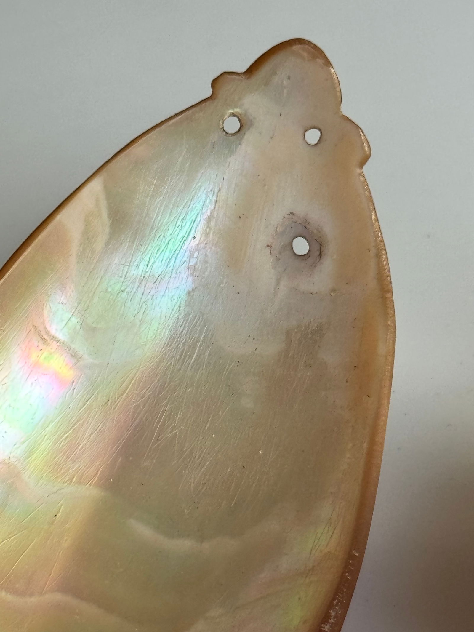 1950’s field collected shell spoons Trobriand Islands - 6