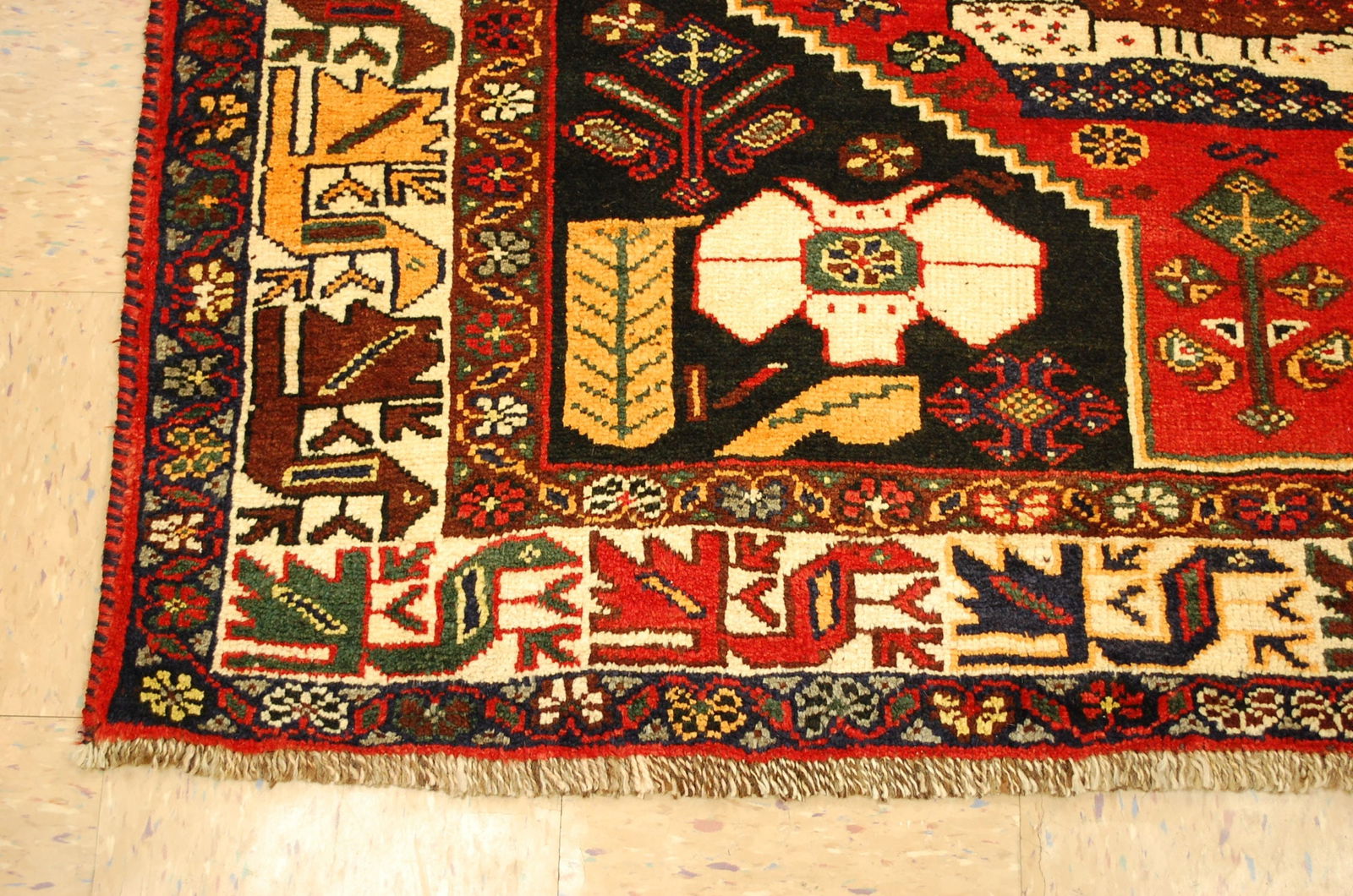 Persain SHIRAZ RUG 5.5x8.1 - 4