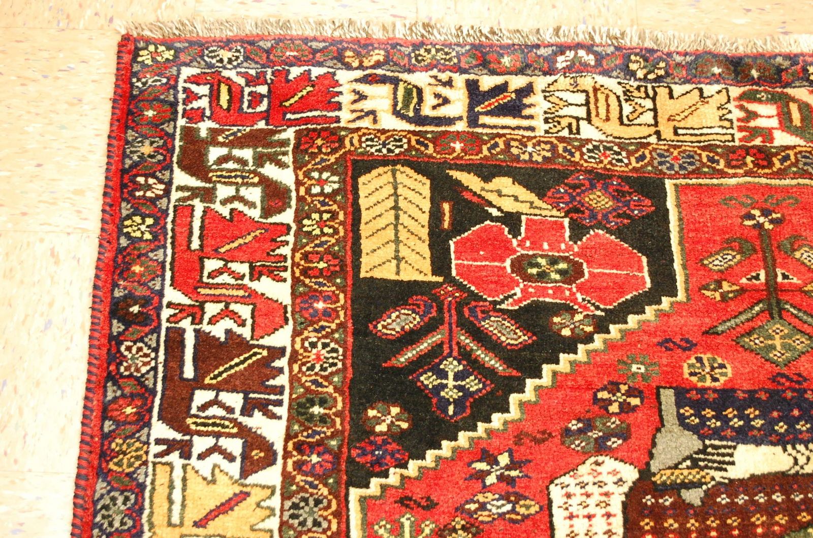 Persain SHIRAZ RUG 5.5x8.1 - 5