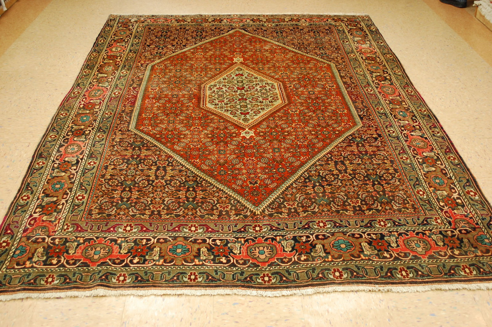 Persain BIJAR RUG 7'x10'1" (1 of 12)