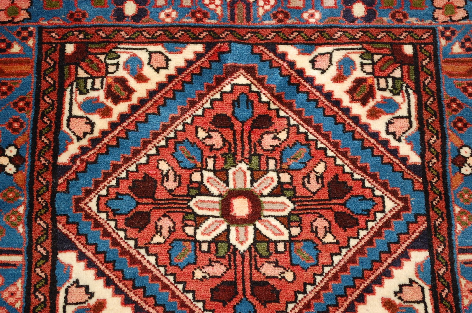 PERSIAN MALAYEER RUNNER 2.6X23.7 - 4