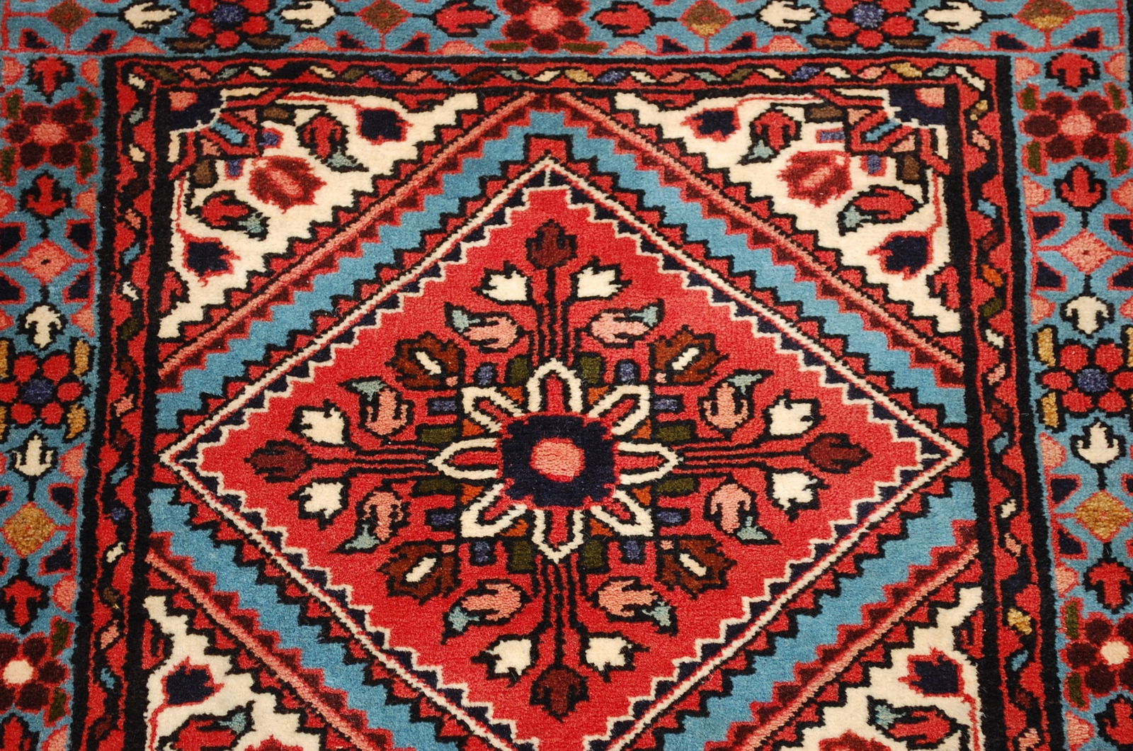 PERSIAN MALAYEER RUNNER 2.7 X 23 - 4