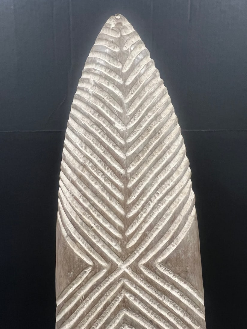 Elongated Zulu Shield - 2