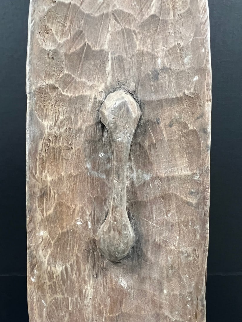 Elongated Zulu Shield - 9