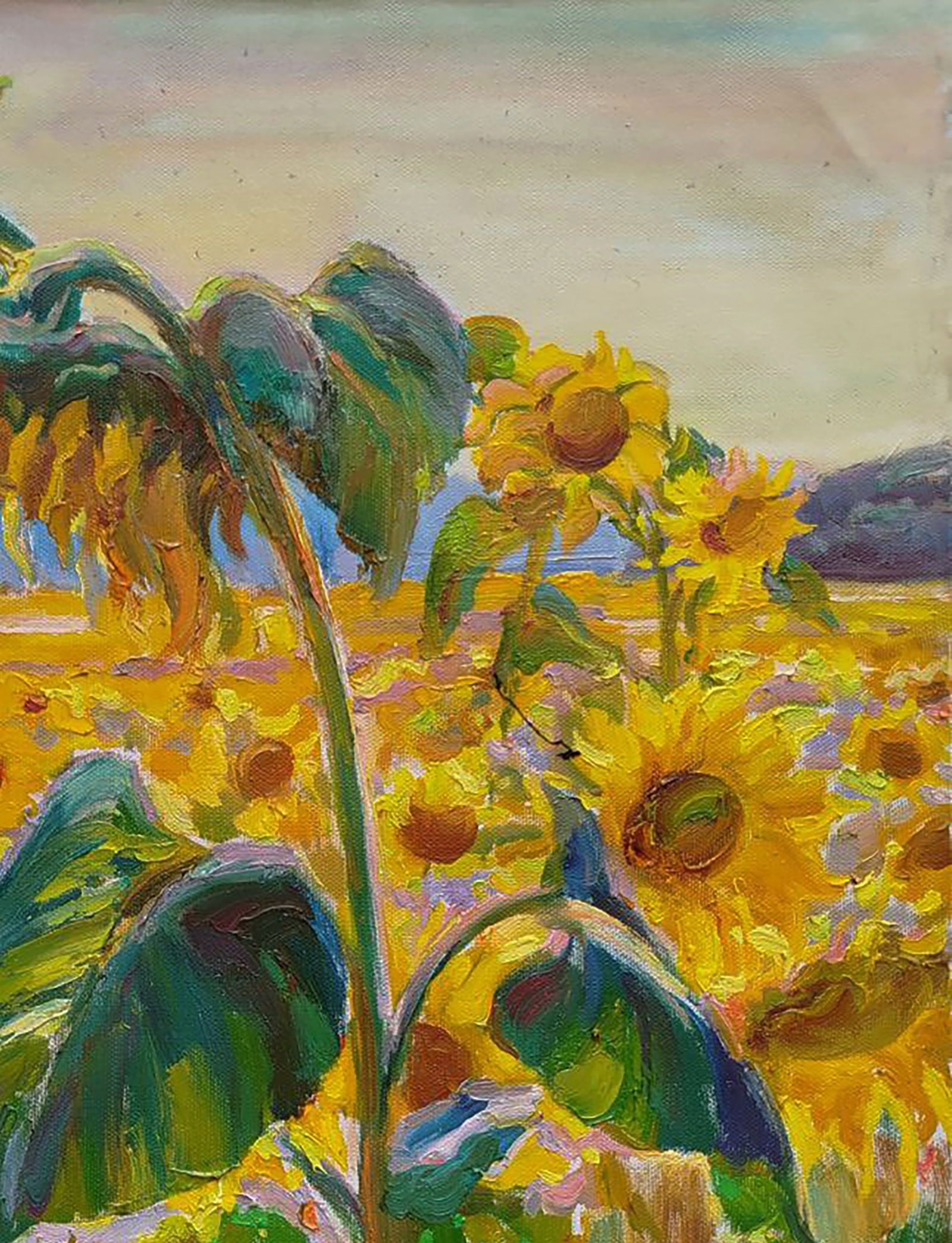 Oil painting Among the sunflowers Leonid Pavlenko - 5