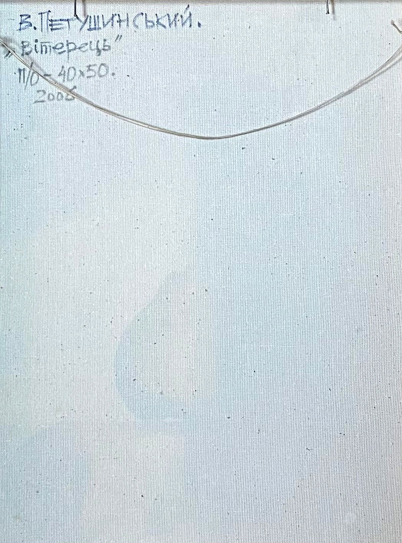 Oil painting The breeze Valery Petushynskyi - 6