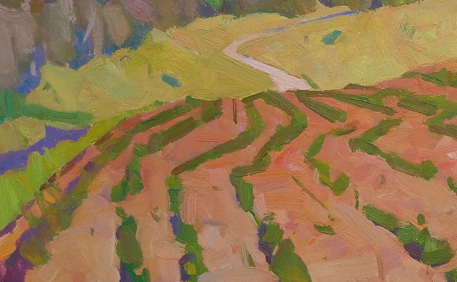 Oil painting A bright vegetable garden Igor Tuzhikov - 3