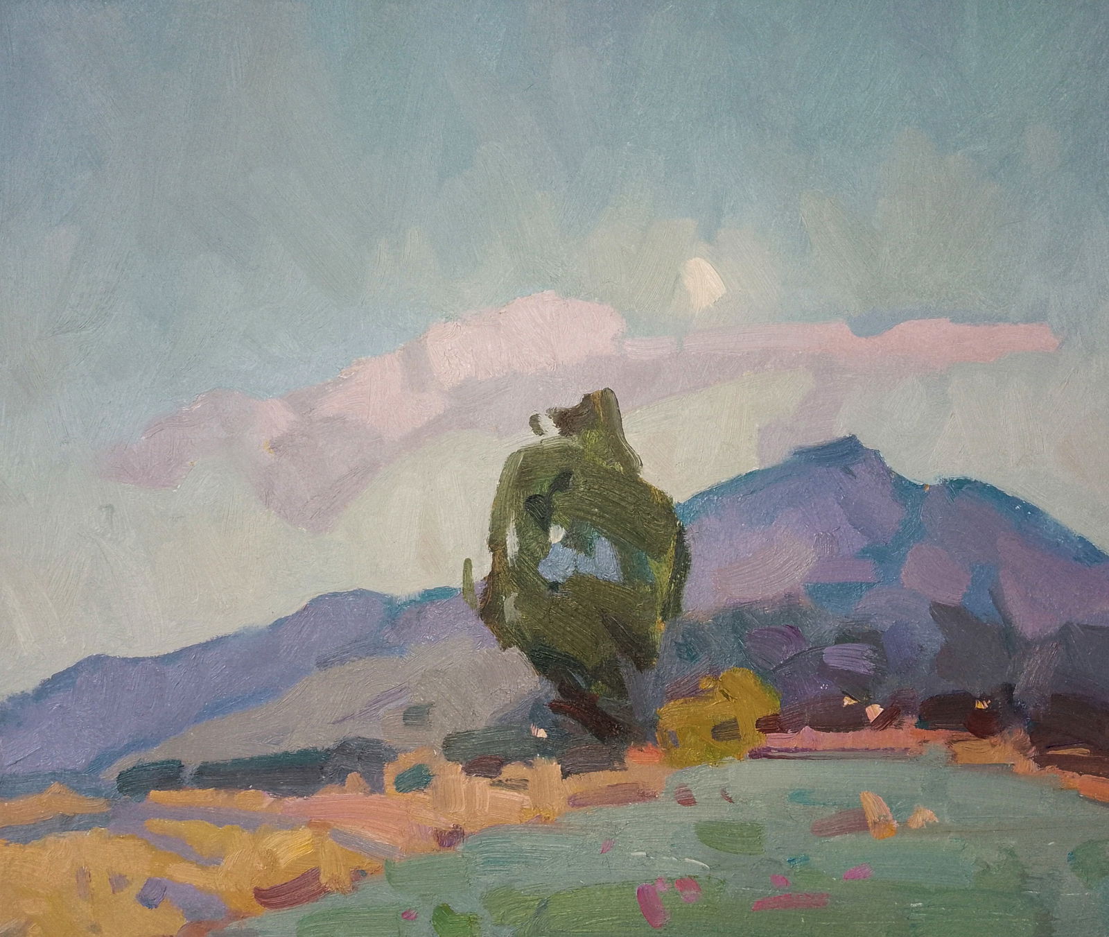 Oil painting Fresh air in the mountains Igor Tuzhikov: Title: Oil painting Fresh air in the mountains Igor Tuzhikov Description: 11TUZHIK Painter: Igor Tuzhikov Size: 25x30 cm/9.84x11.81 inches Components: oil, cardboard Original painting CONDITION: excel