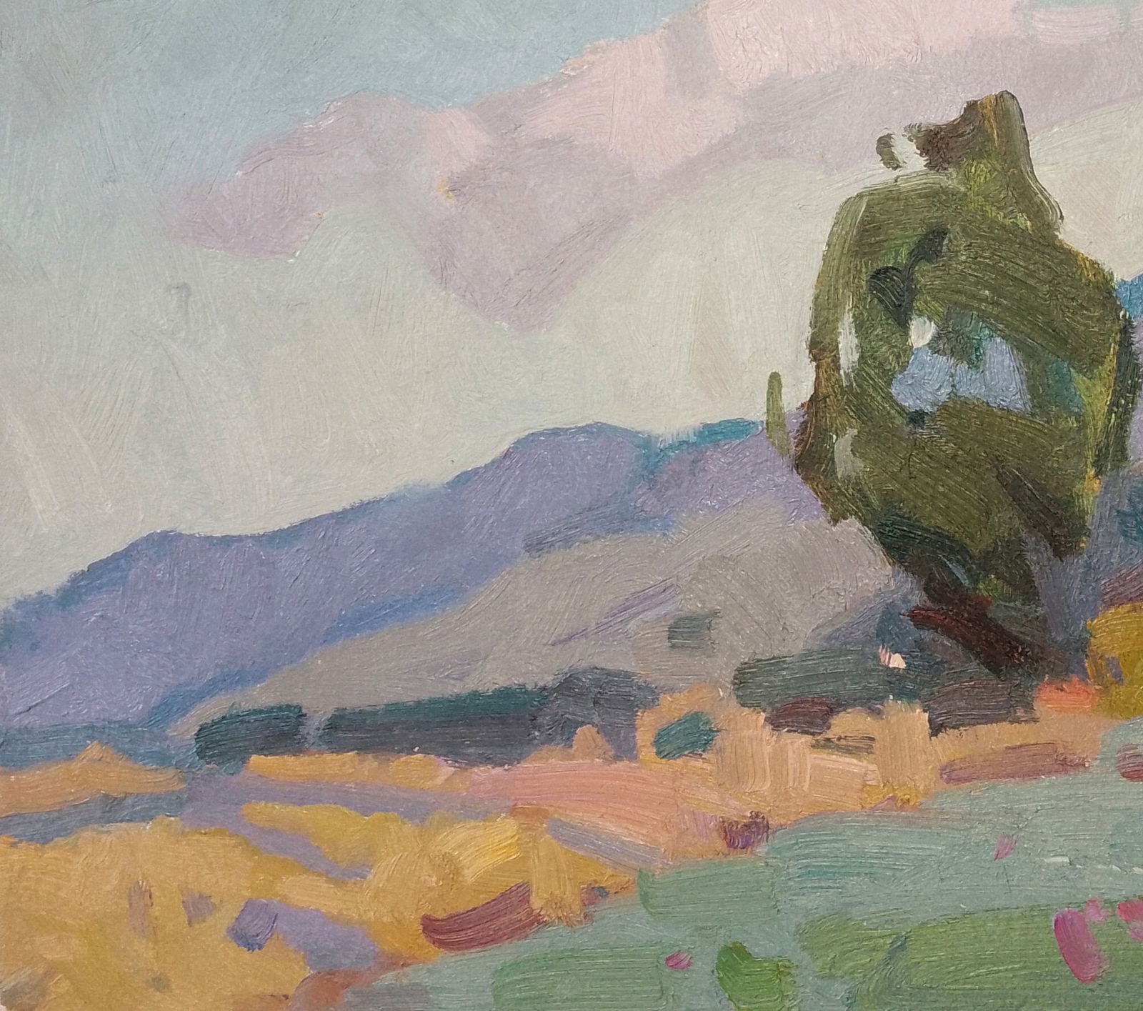 Oil painting Fresh air in the mountains Igor Tuzhikov - 3