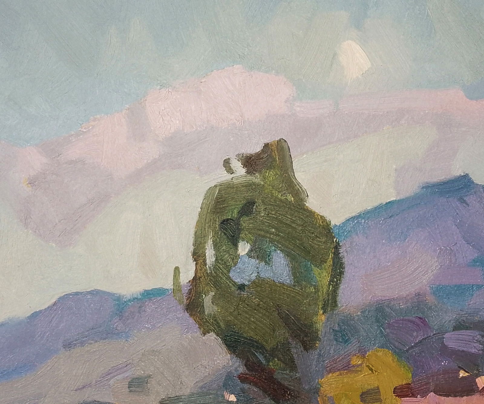 Oil painting Fresh air in the mountains Igor Tuzhikov - 6