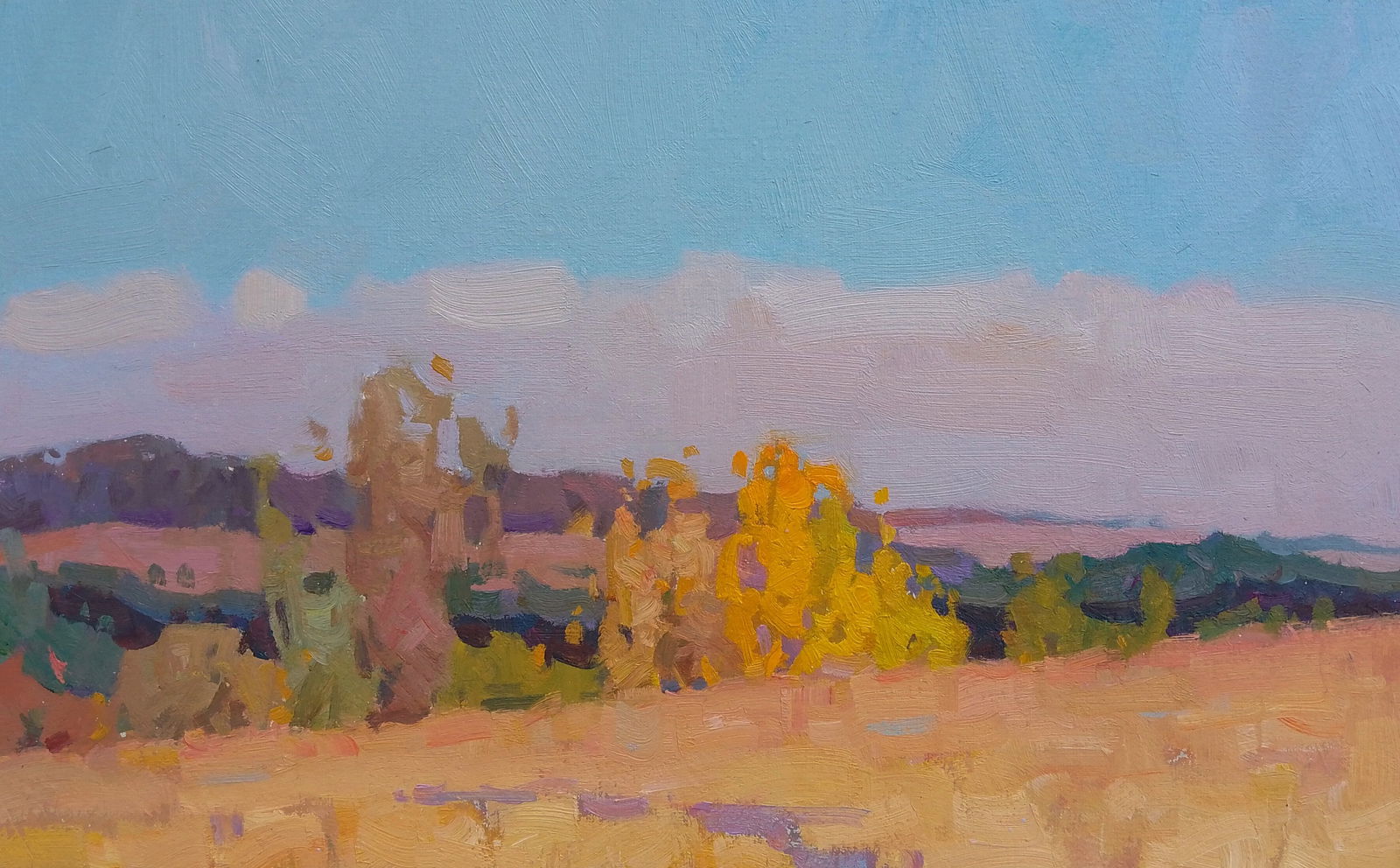 Oil painting Autumn outside the city Igor Tuzhikov: Title: Oil painting Autumn outside the city Igor Tuzhikov Description: 13TUZHIK Painter: Igor Tuzhikov Size: 25x40 cm/9.84x15.74 inches Components: oil, cardboard Original painting CONDITION: excellen