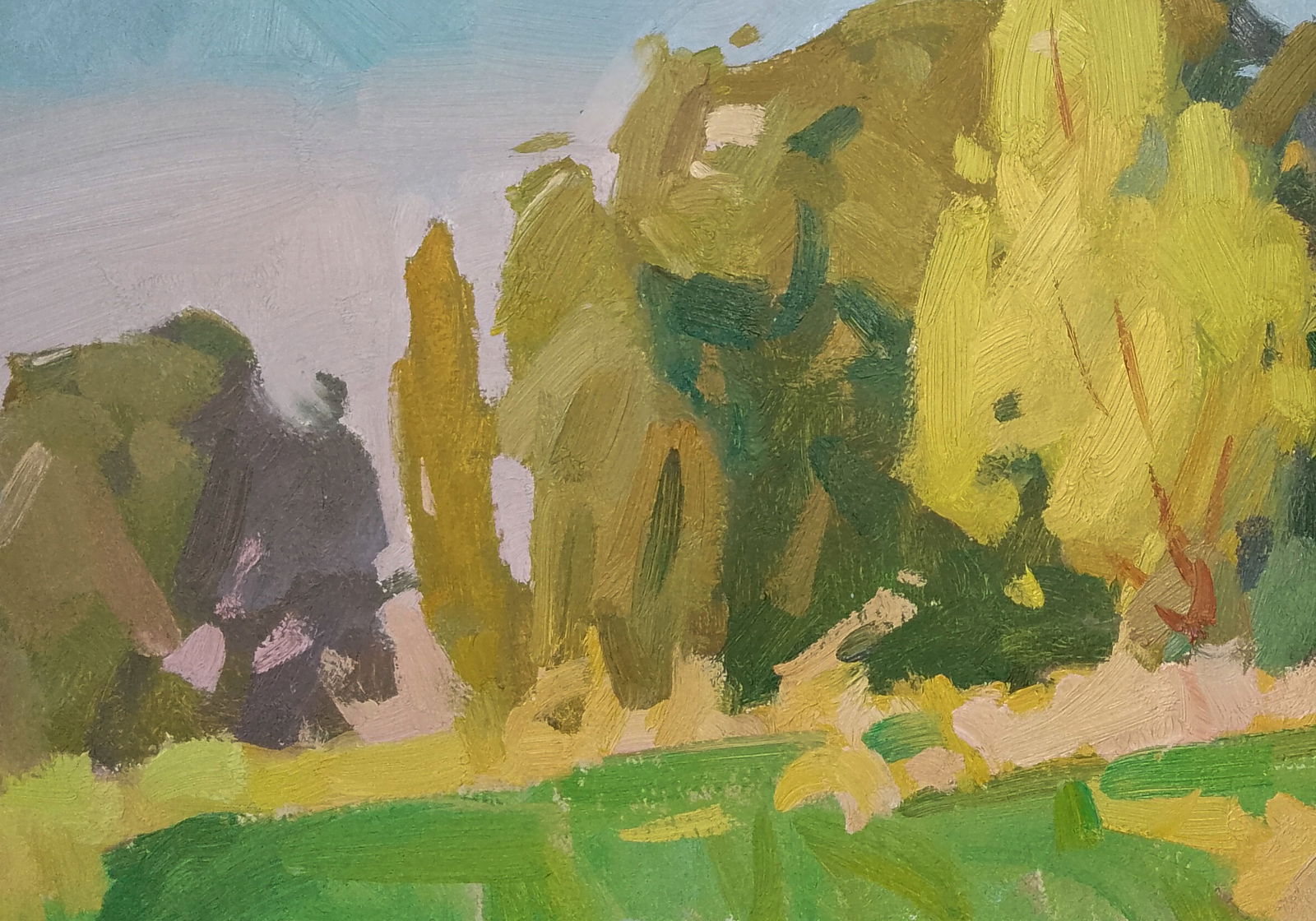 Oil painting Forest on summer meadows Igor Tuzhikov - 3