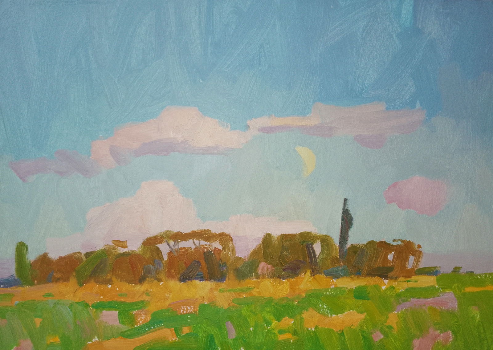 Oil painting The summer smell of nature Igor Tuzhikov: Title: Oil painting The summer smell of nature Igor Tuzhikov Description: 25TUZHIK Painter: Igor Tuzhikov Size: 25x35 cm/9.84x13.77 inches Components: oil, cardboard Original painting CONDITION: