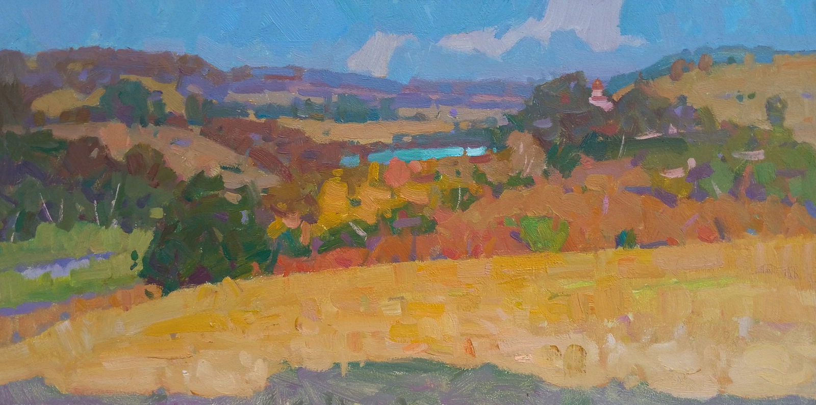 Oil painting A hot summer evening Igor Tuzhikov: Title: Oil painting A hot summer evening Igor Tuzhikov Description: 27TUZHIK Painter: Igor Tuzhikov Size: 20x40 cm/7.87x15.74 inches Components: oil, cardboard Original painting CONDITION: excellent 