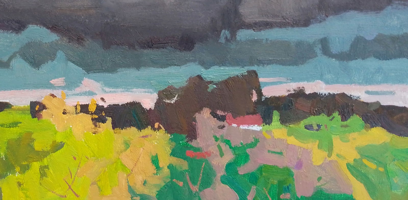 Oil painting The rain is coming Igor Tuzhikov - 2