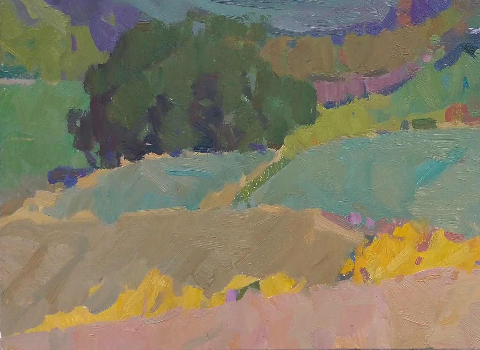 Oil painting In the mountain fields Igor Tuzhikov - 3