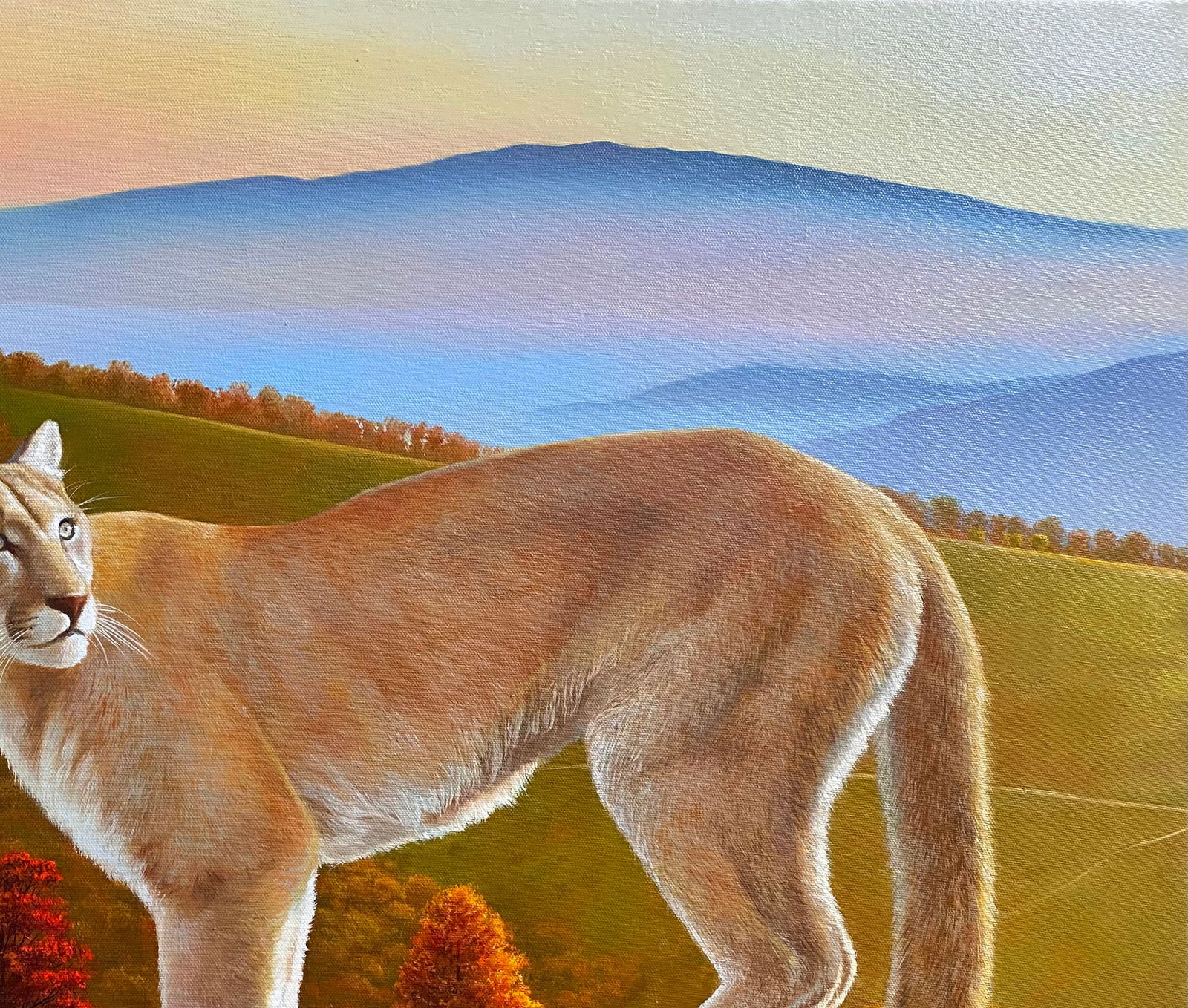 Oil painting Puma in the wild Kateryna Bukuros - 3
