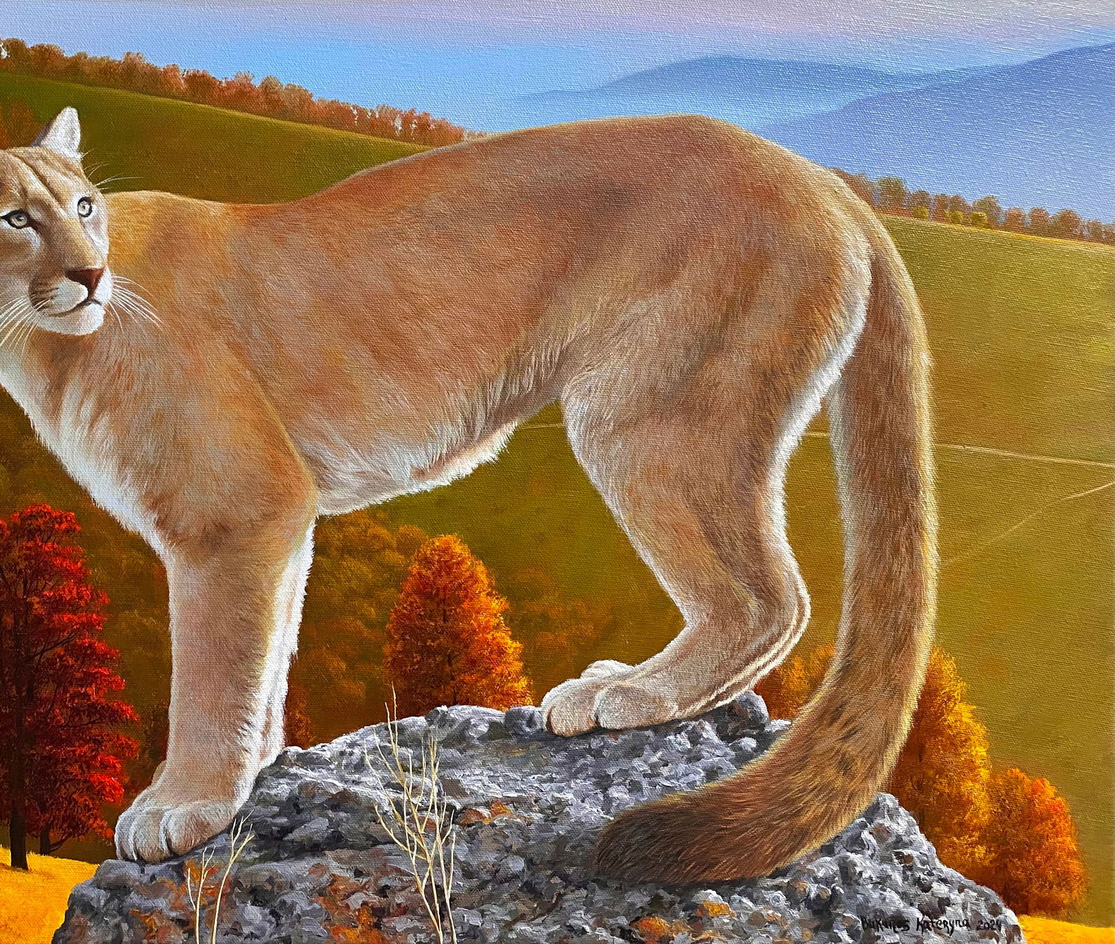 Oil painting Puma in the wild Kateryna Bukuros - 5