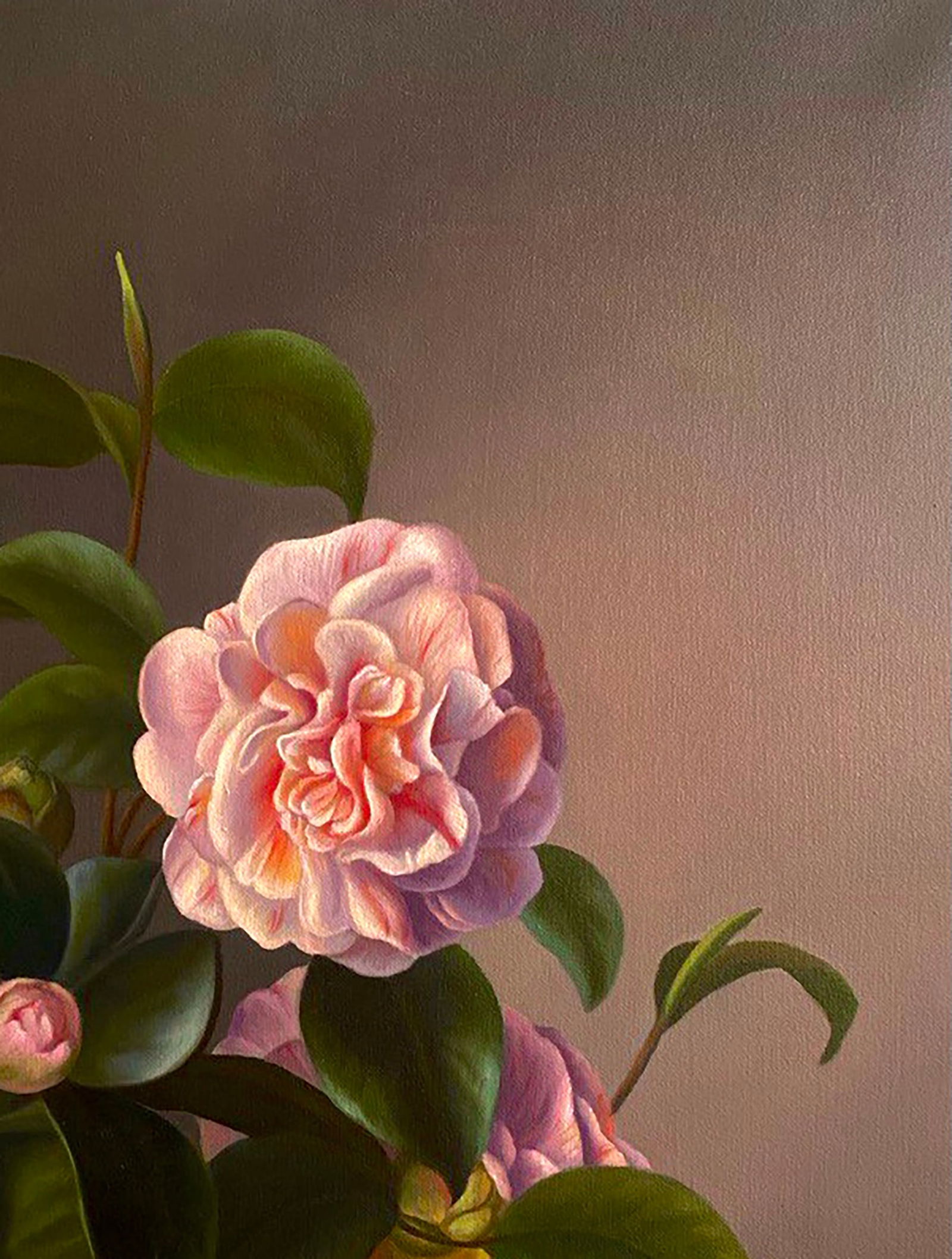 Oil painting Camellia flower Kateryna Bukuros - 3