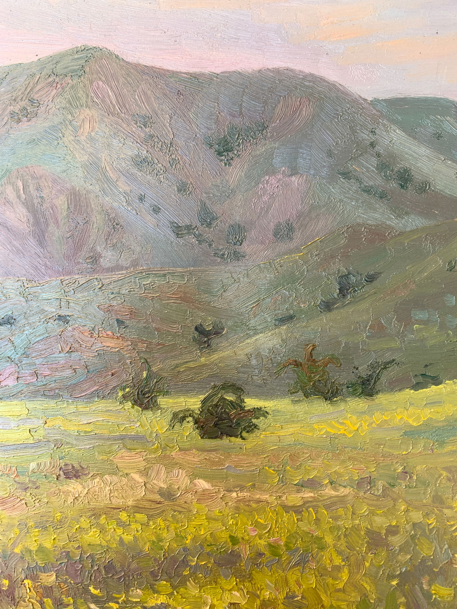 Oil painting Mountain meadow Onyshchenko - 7