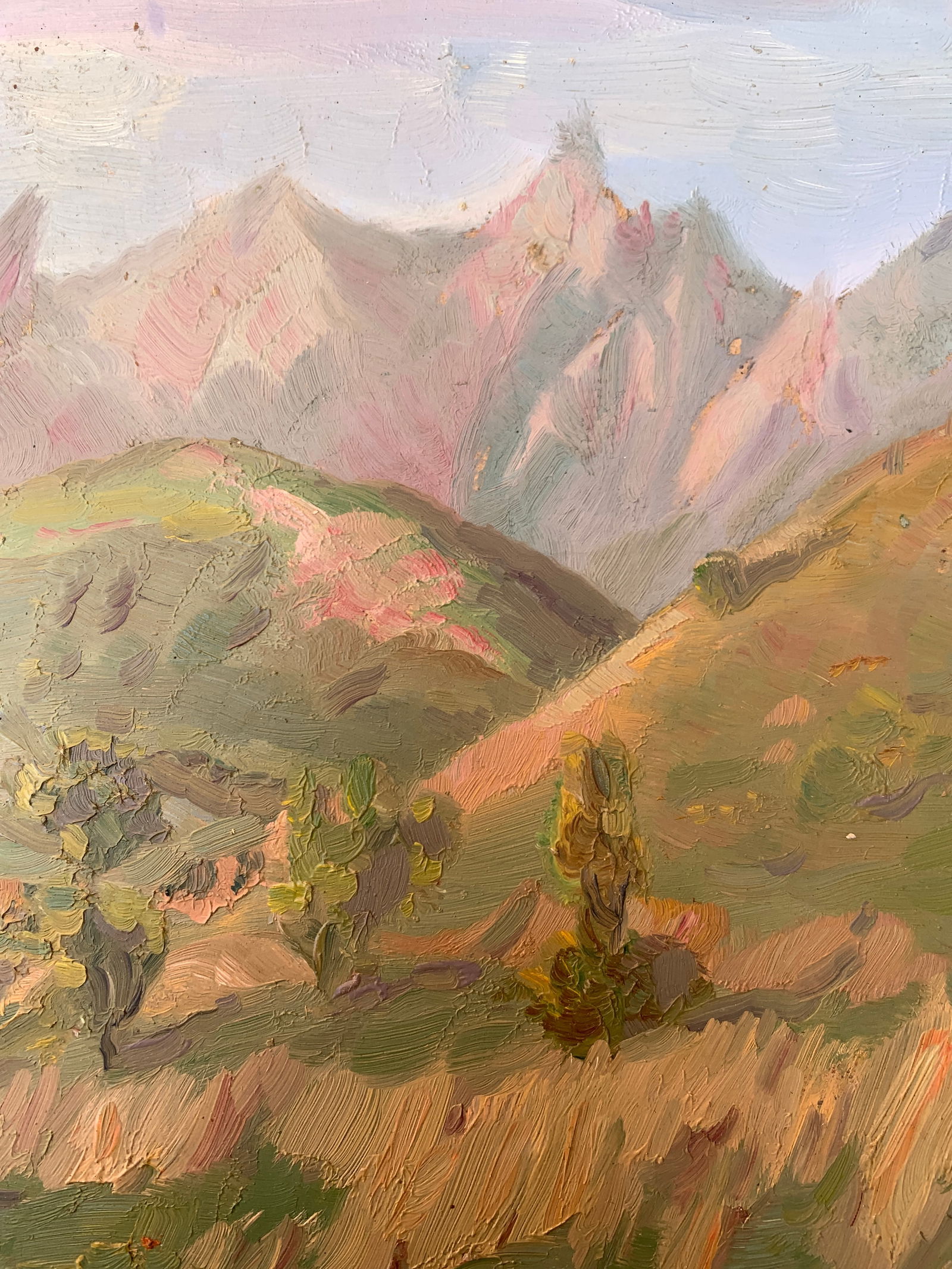 Oil painting Summer in the mountains Onyshchenko - 7