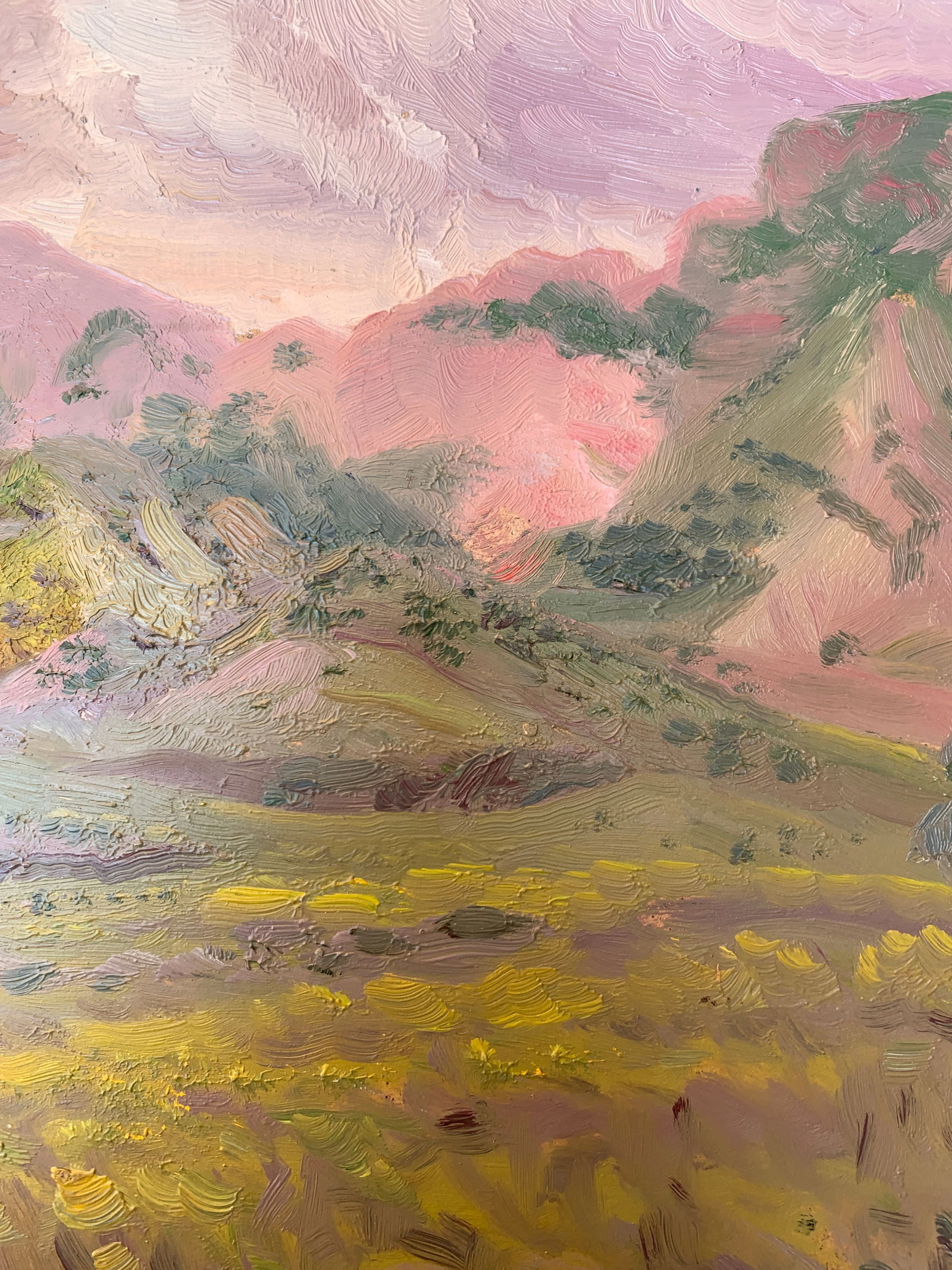 Oil painting Mountain landscape Onyshchenko - 7