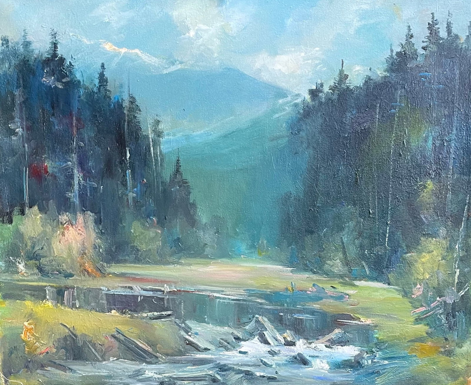 Oil painting Windy Ivan Romanyuk: Title: Oil painting Windy Ivan Romanyuk Description: 30ROM Painter: Ivan Romanyuk Size: 80x65 cm/31,4x25,5 inches Components: oil, canvas Original painting CONDITION: exellent ARTIST: A native of