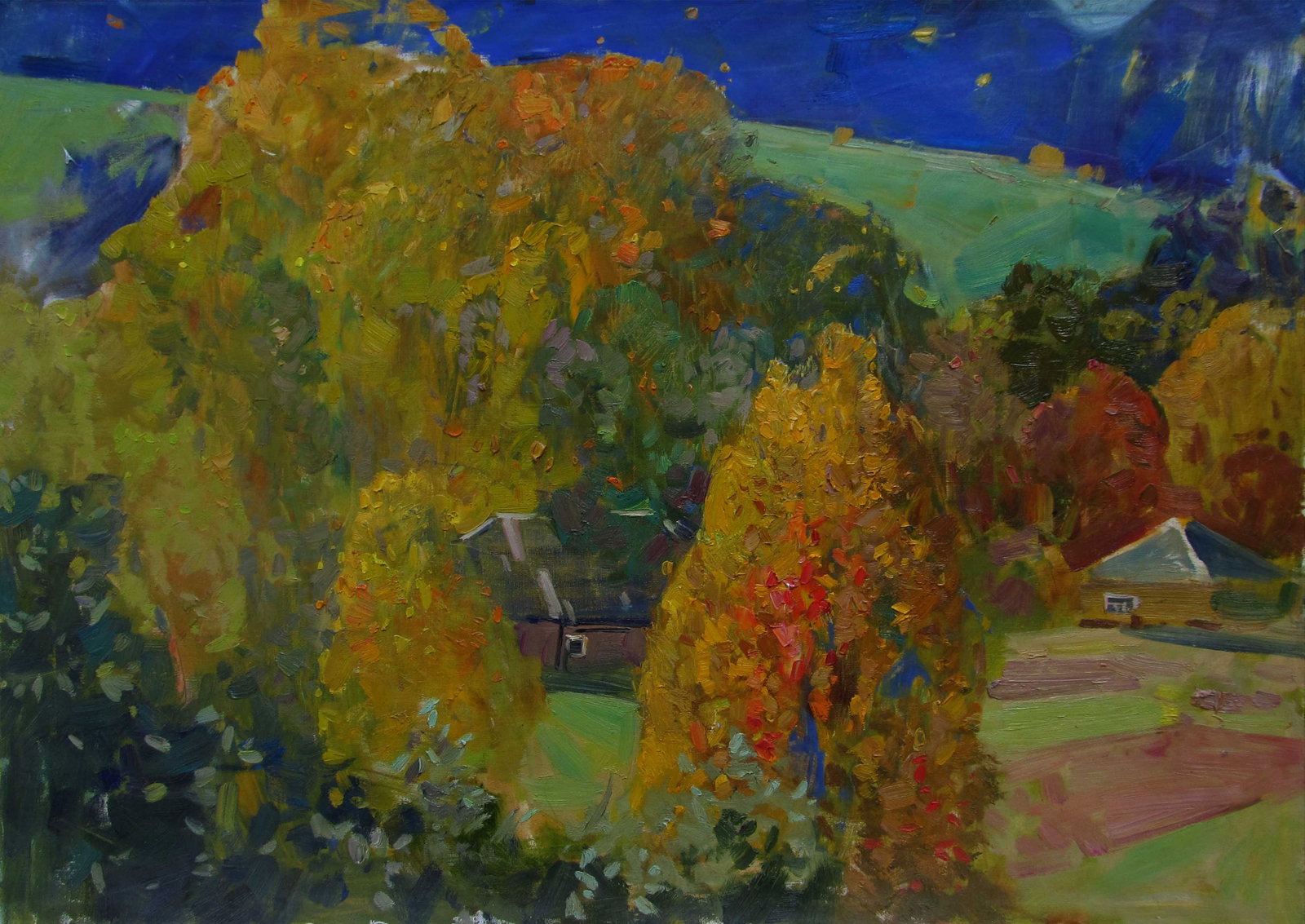 Oil painting autumns Serg Kovalenko: Title: Oil painting autumns Serg Kovalenko Description: 115SK Painter: Serg Kovalenko Size: 50x70 cm/19.7x27.6 inches Components: oil, canvas Original painting CONDITION: exellent ERA: modern Graduate