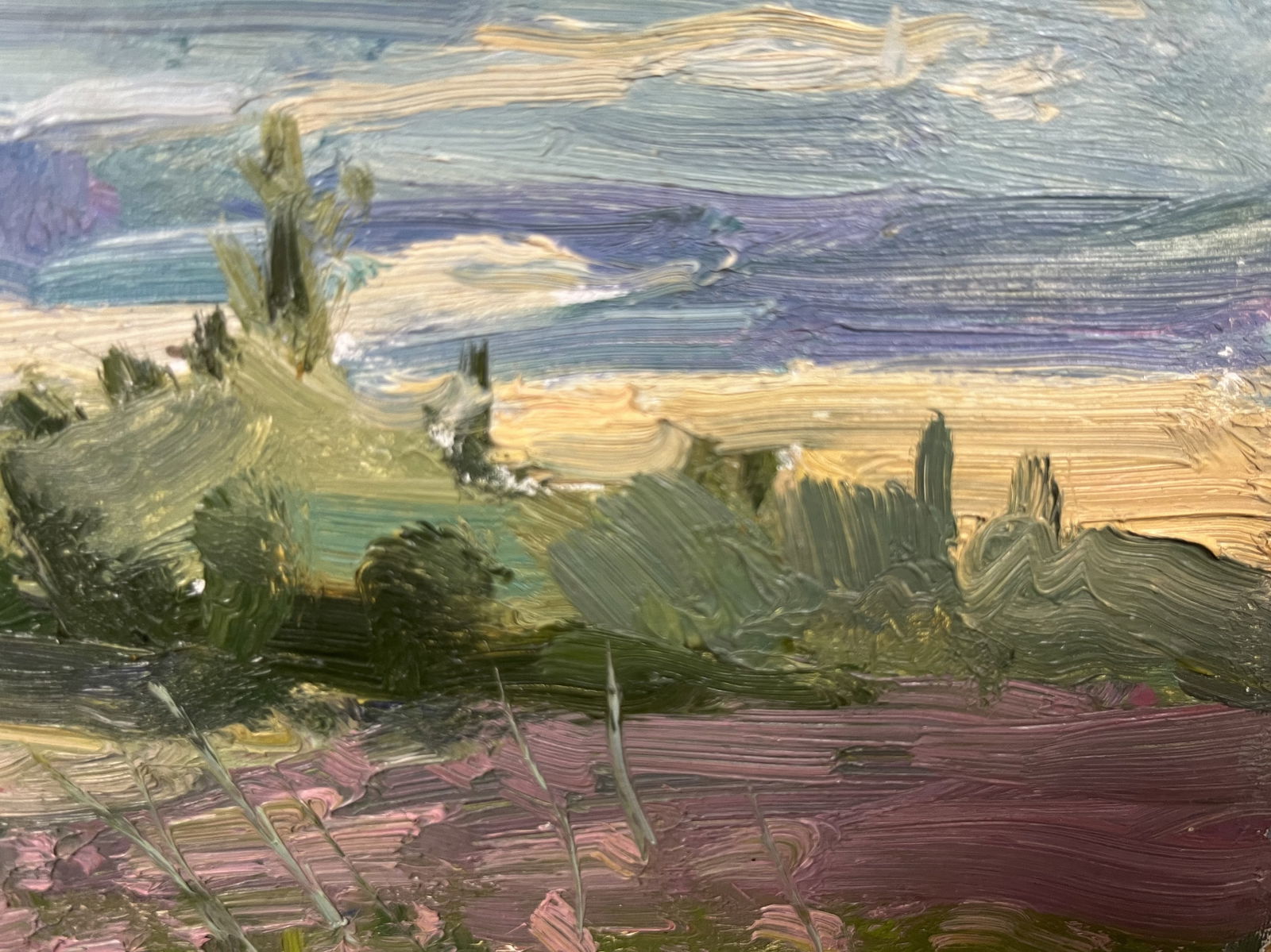 Oil painting In the country Maksimenko - 2