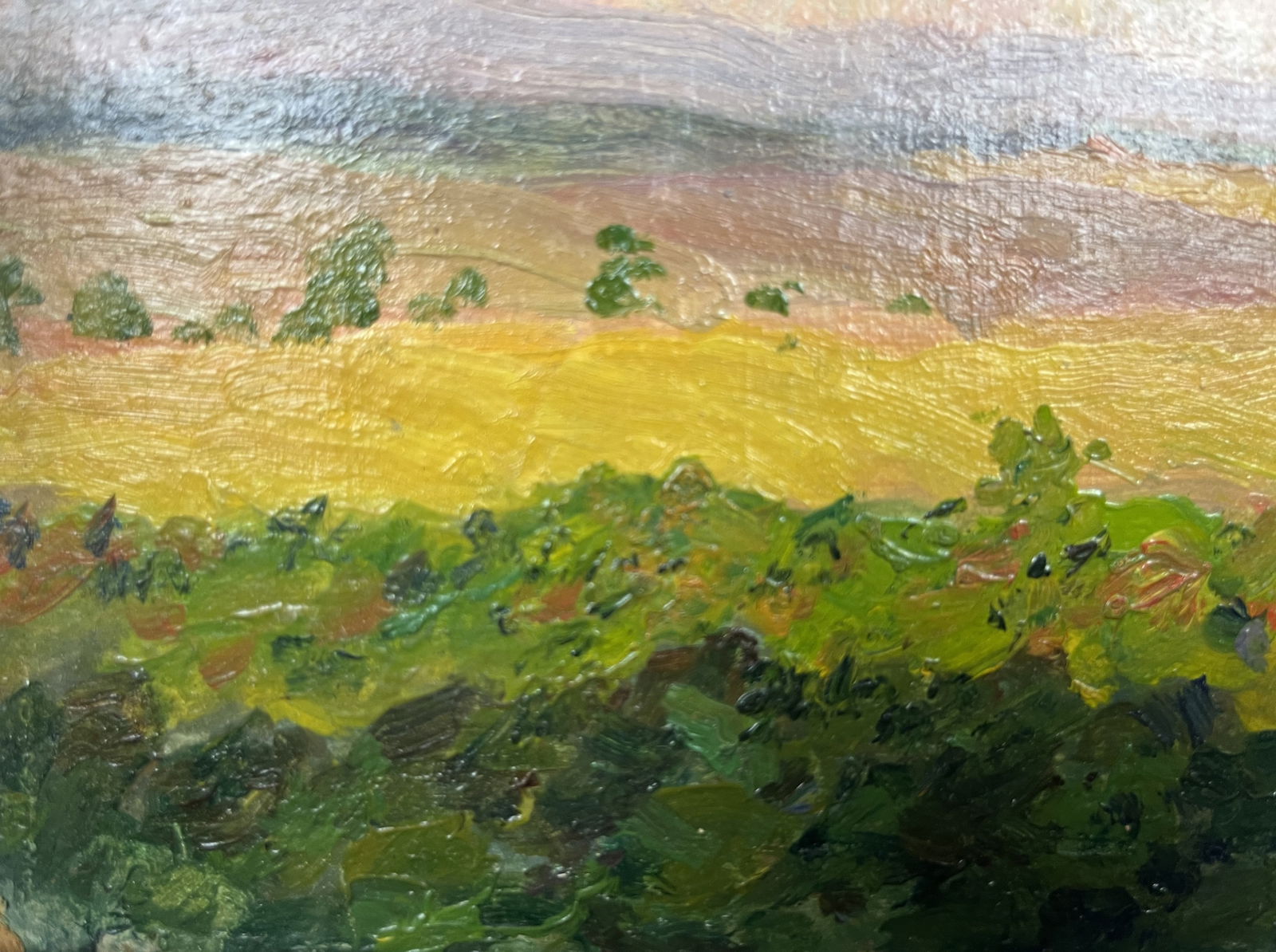 Oil painting Golden fields Krikhatsky - 7