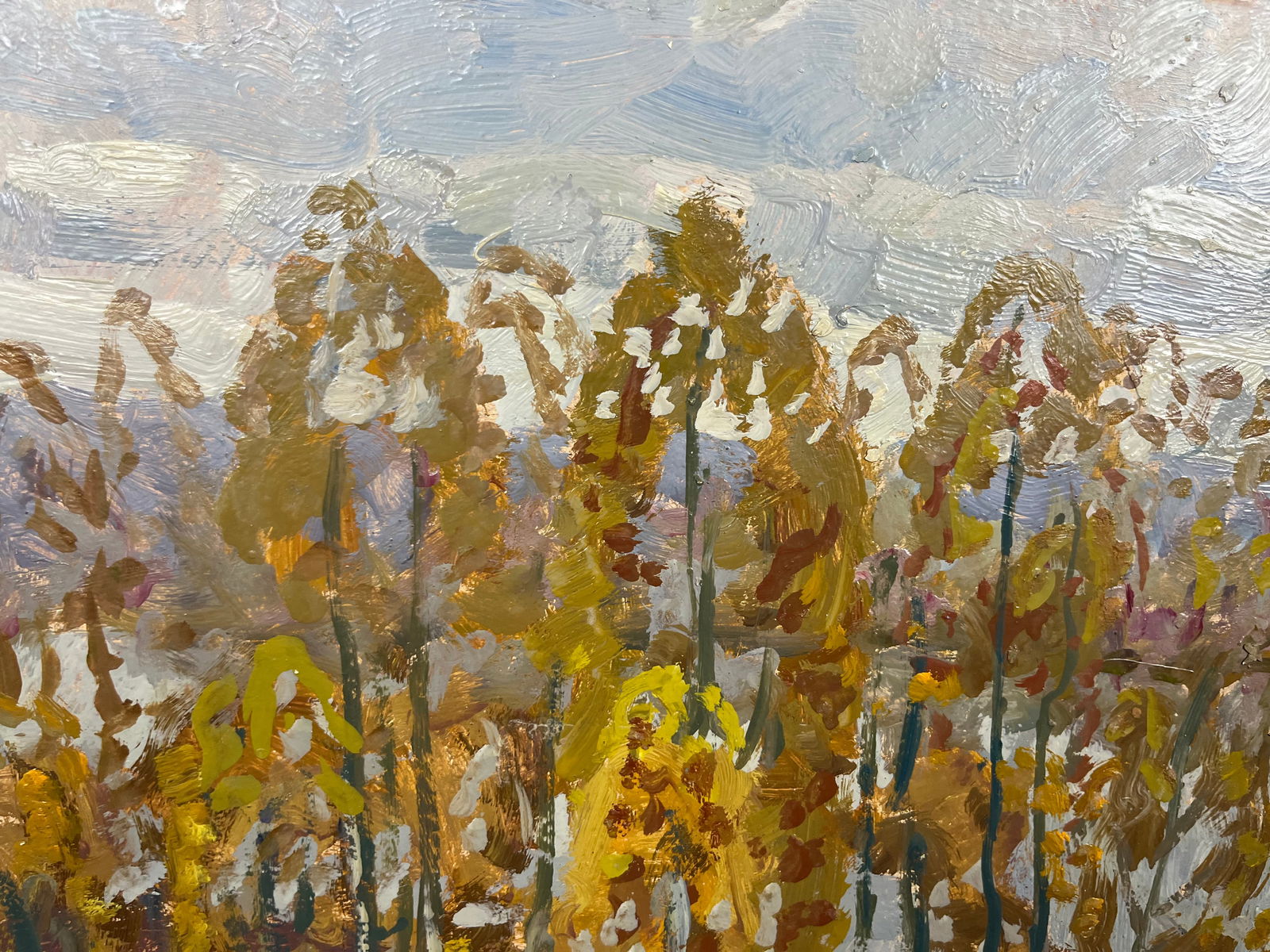 Oil painting Kolochak River Kolosovsky G. - 2