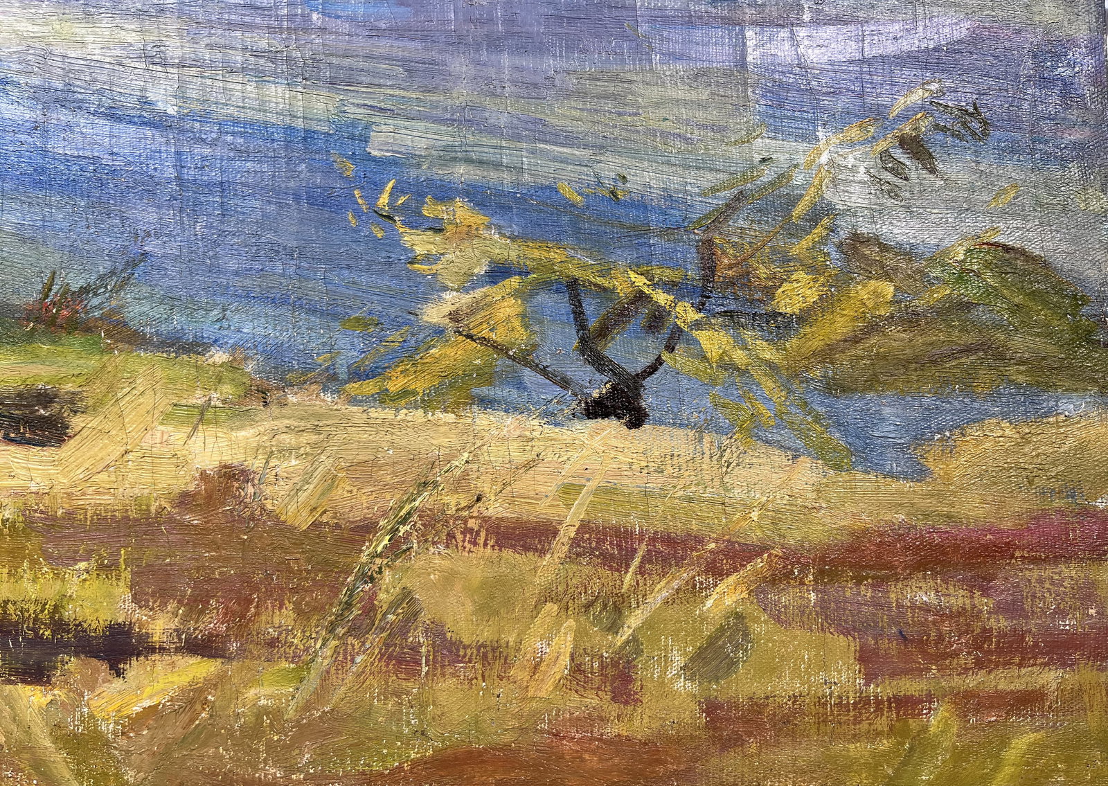 Oil painting On the lake Kogan-Shatz - 7