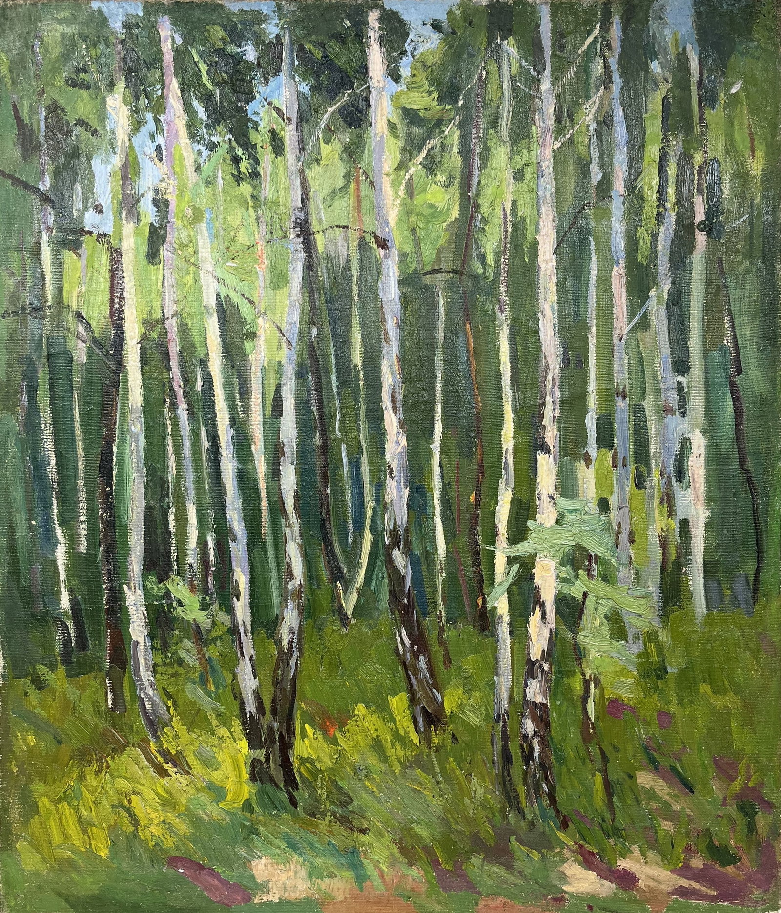 Oil painting Young birch trees Kogan-Shatz - 2
