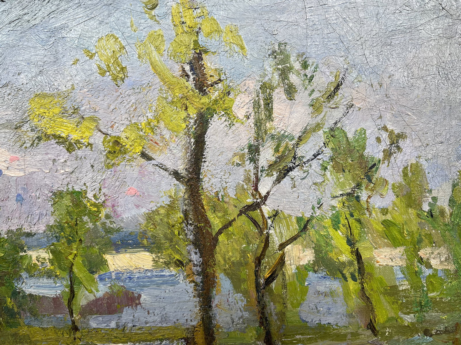 Oil painting River flood Kogan-Shatz - 4