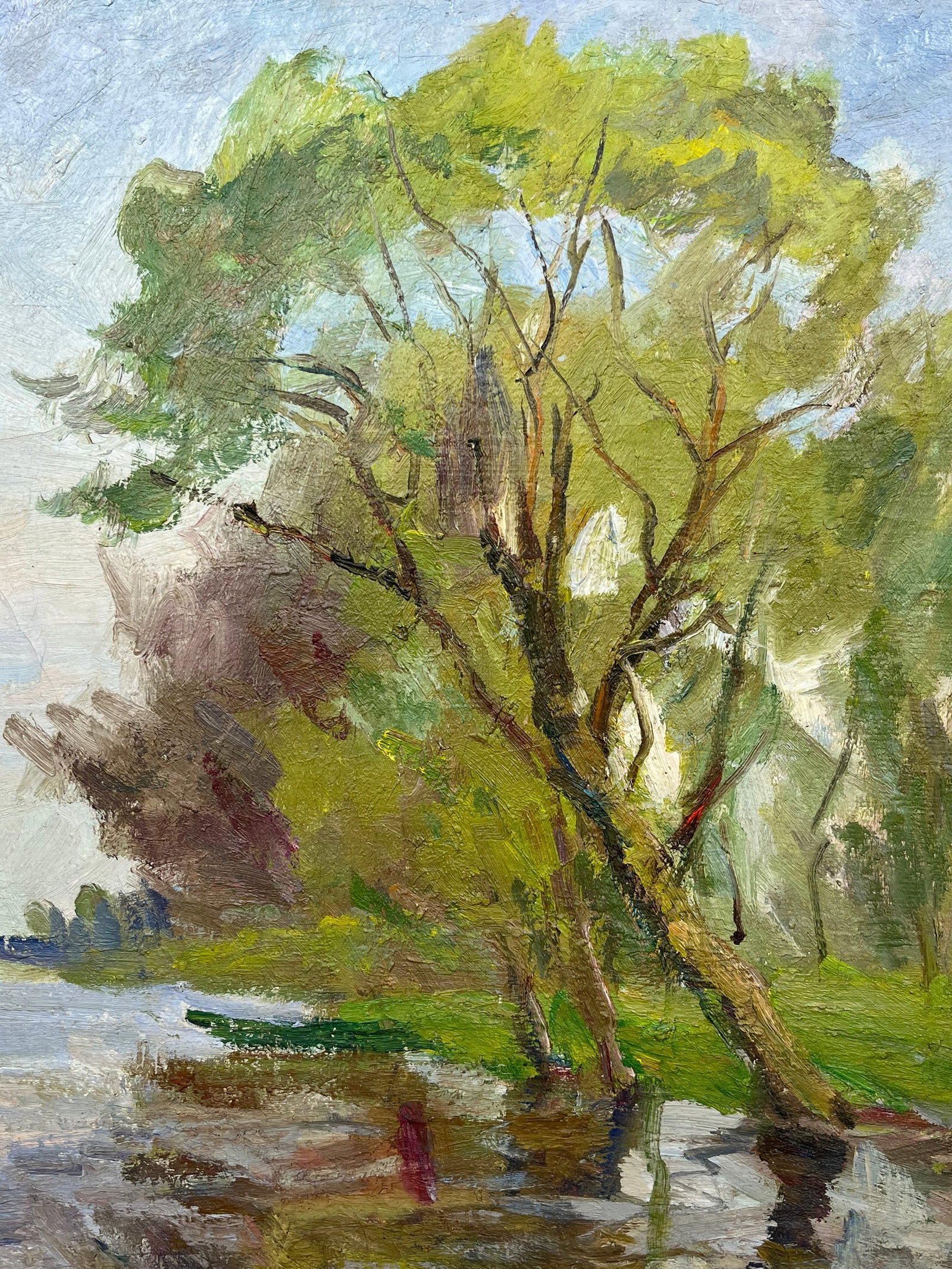 Oil painting Willows over the river Kogan-Shatz - 9