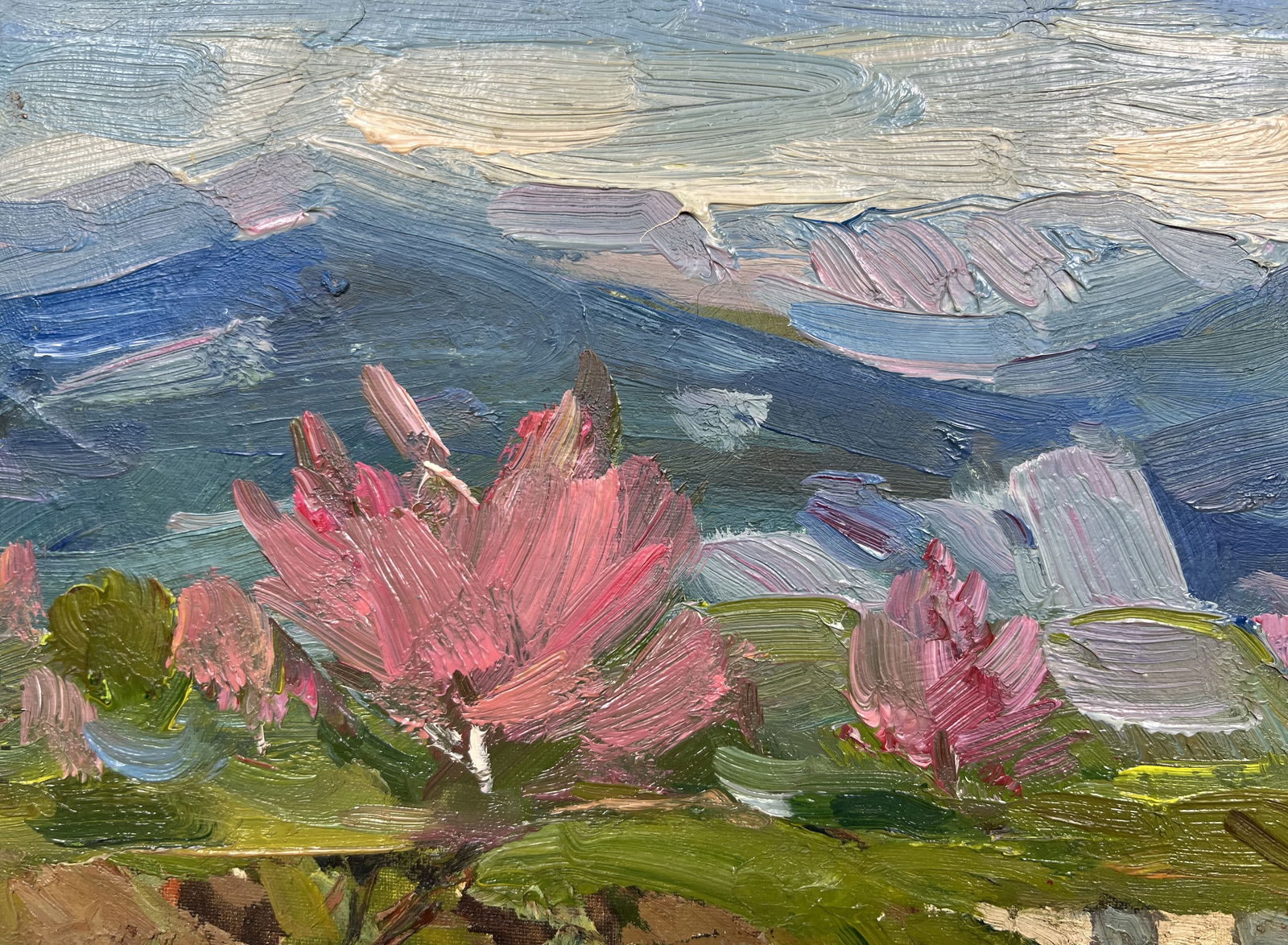 Oil painting Mountain valley Strelov A. - 2