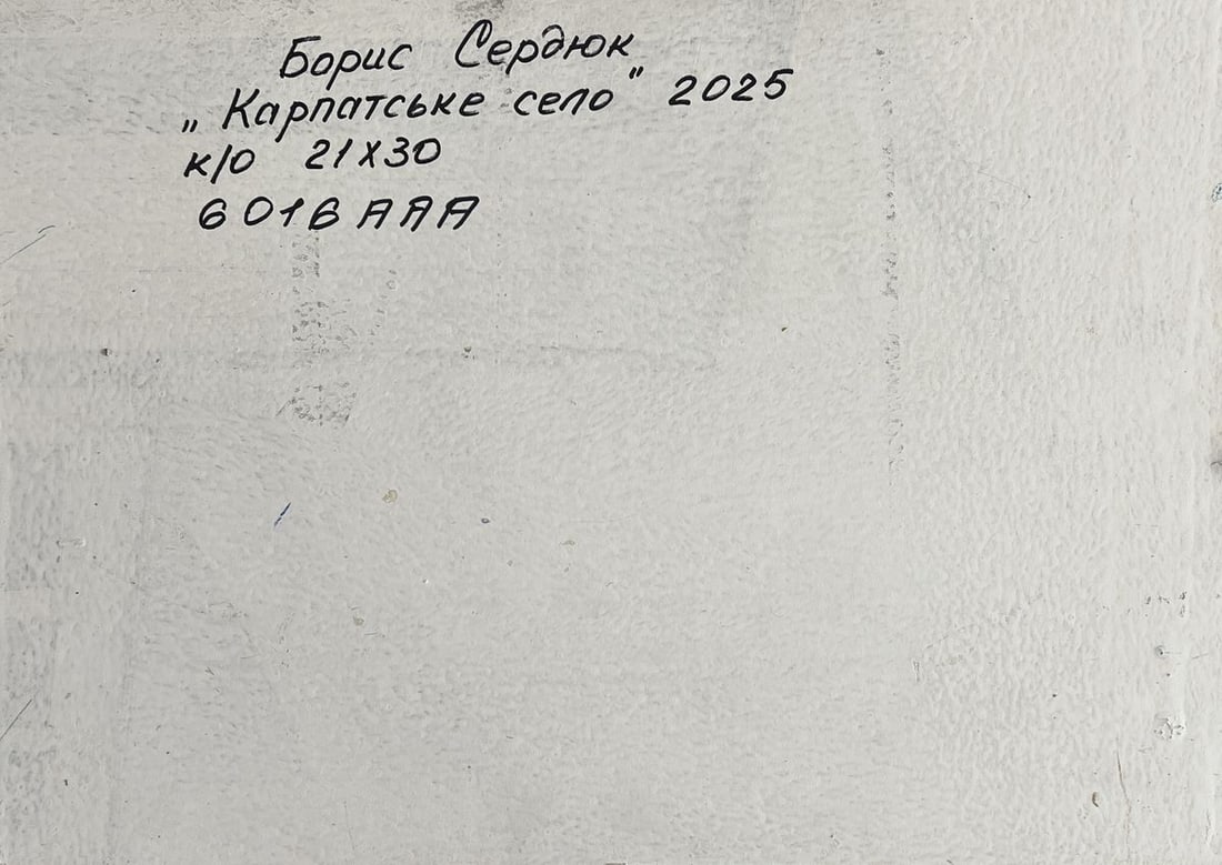 Oil painting Village in the mountains Boris Serdyuk - 11