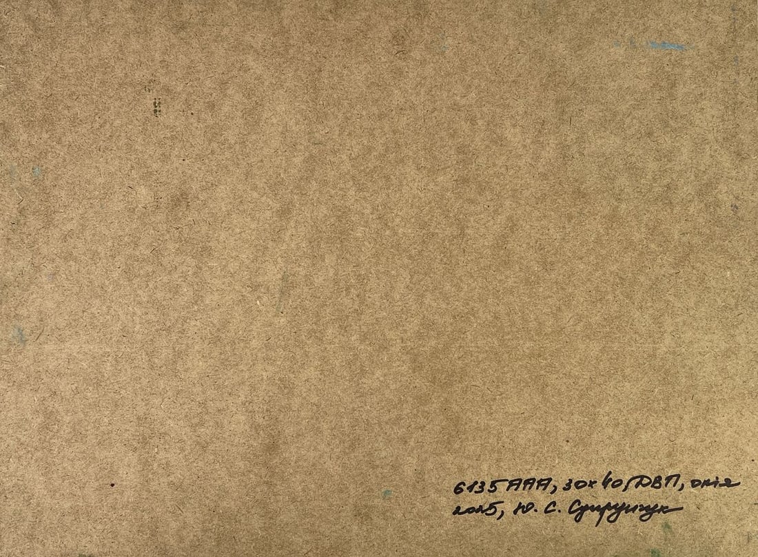 Oil painting House on the Mountain Yuriy Suprunchuk - 11